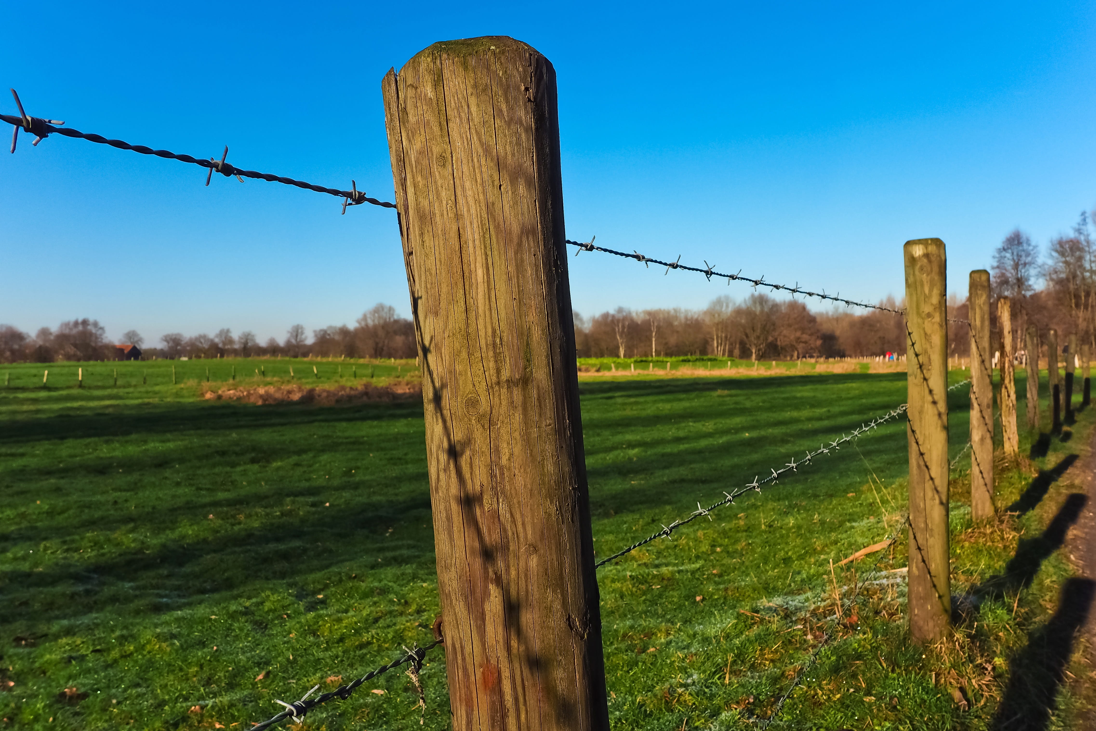 4K, rural, wood - material, tranquility, relaxation, plant, demarcation, tranquil scene, sky, outdoors, grass, fence, meadow, idyll, idyllic, atmospheric, HD Wallpaper