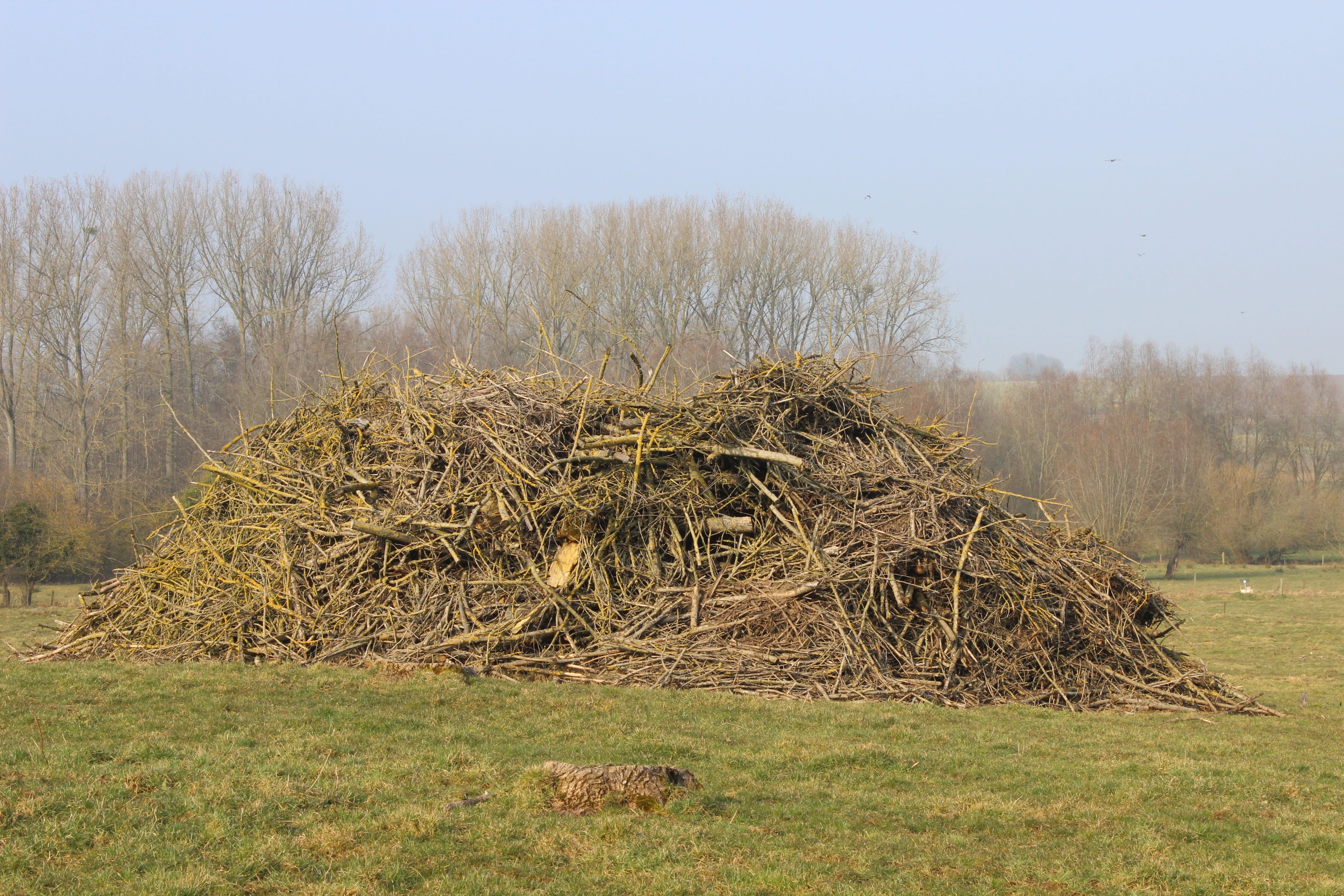 landscape, rural scene, 5K, outdoors, Bonfire, haystack, tranquility, bale, hay, field, nature, stack, tree, plant, environment, land, day, sky, grass, HD Wallpaper