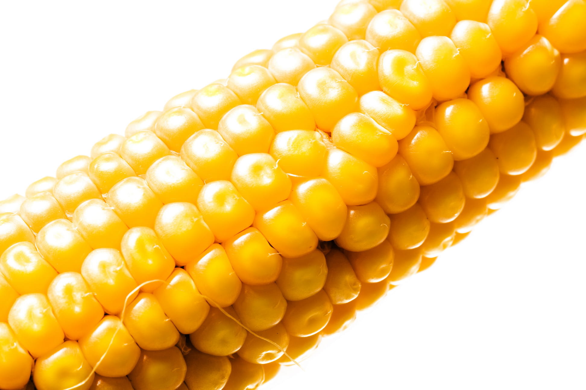 yellow, background, crop, nutrition, produce, white background, organic, raw food, sweet, grain, corncob, meals, leaf, agriculture, food, popcorn, whole, HD Wallpaper