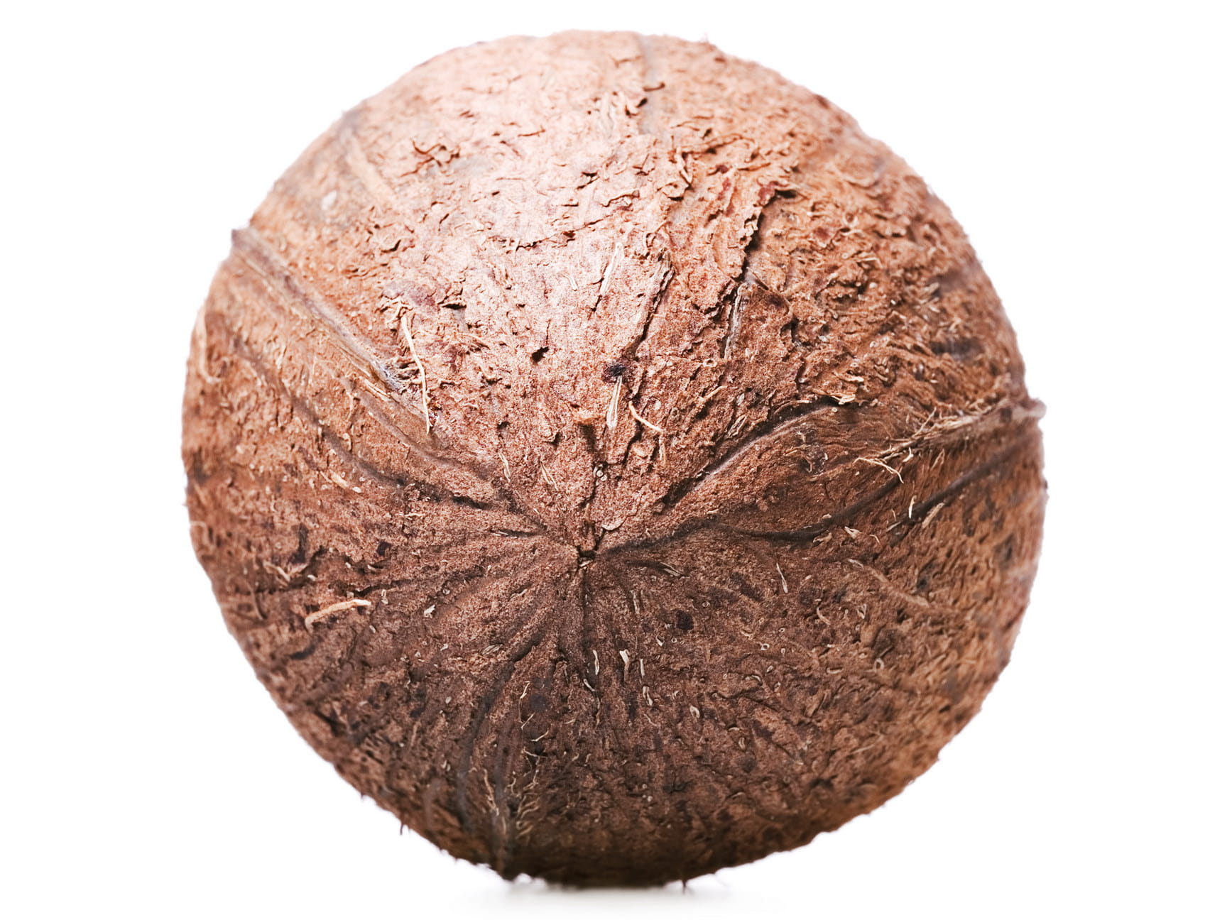 wellbeing, background, plant, food and drink, hard, isolated, studio shot, close-up, husk, white, freshness, still life, no people, coco, brown, fruit, HD Wallpaper