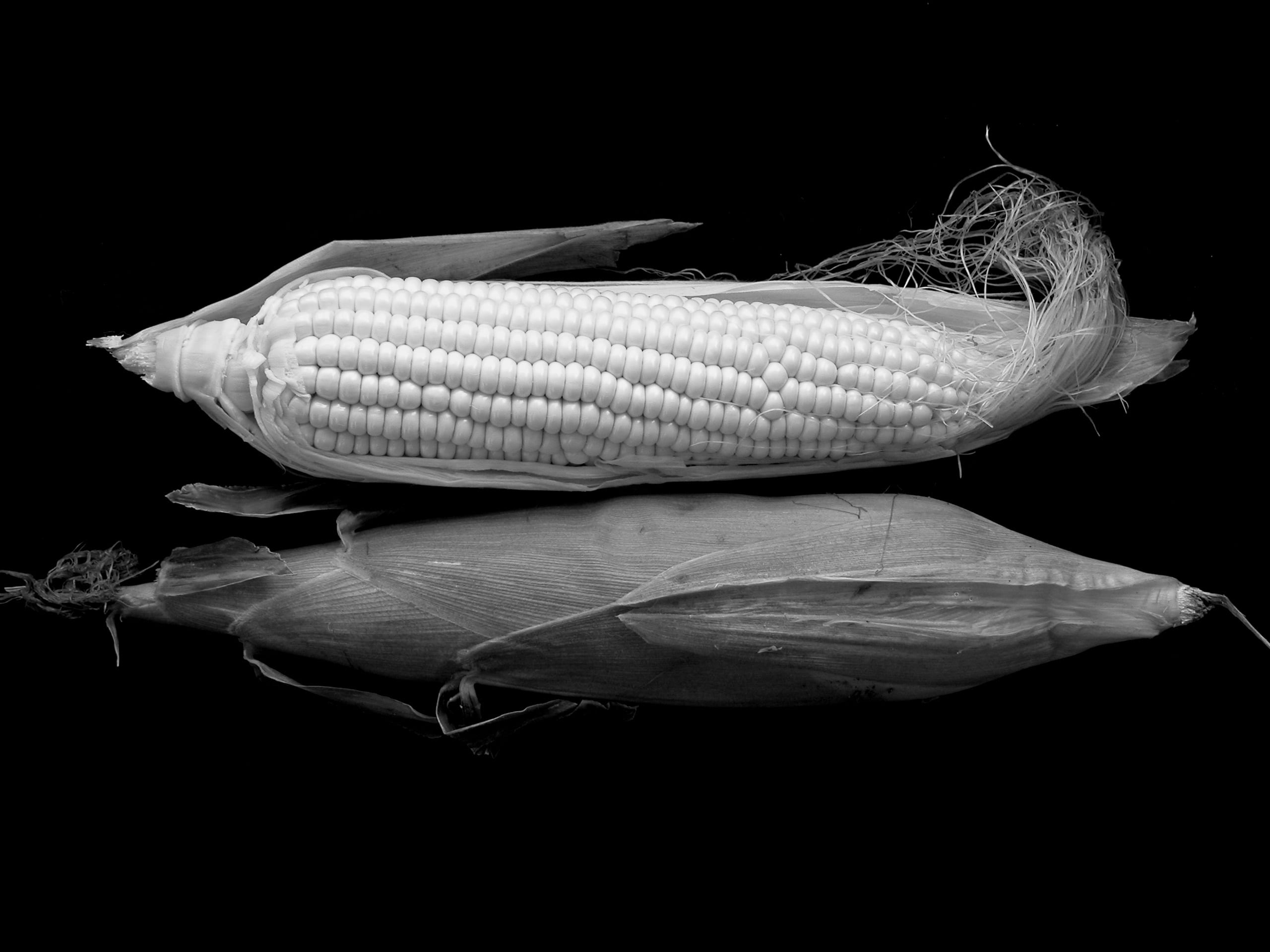 black, freshness, surface, wellbeing, 2K, food presentation, corn, black and white, sweet, still life, corn on the cob, healthy eating, table, grayscale, HD Wallpaper