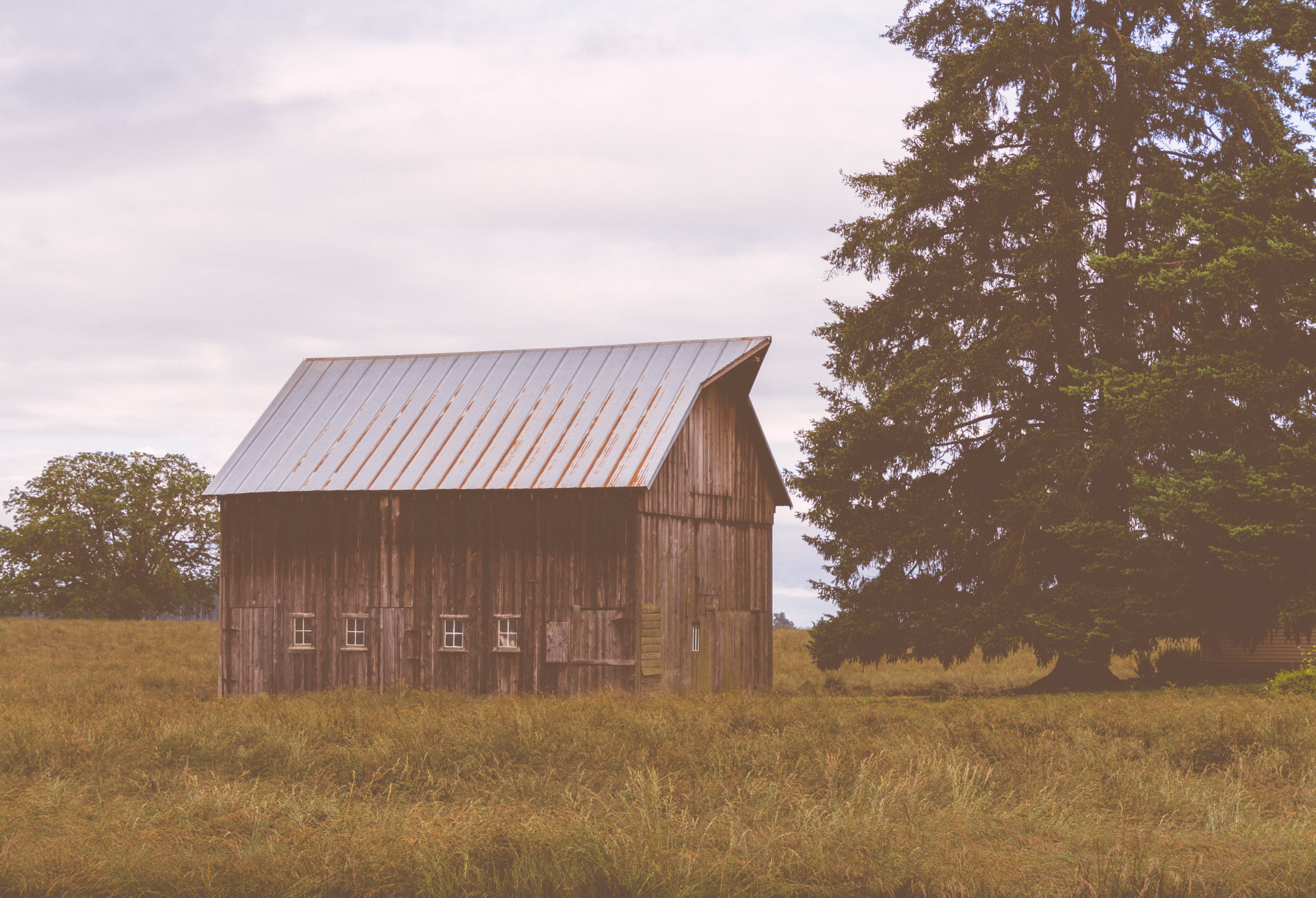 road, sky, building exterior, no people, grass, shed, building, beside, day, highway, hut, tree, environment, agricultural building, built structure, cabin, HD Wallpaper