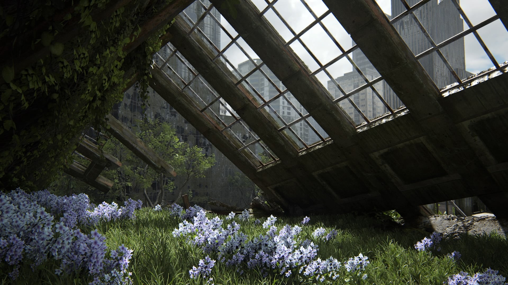 video game art, apocalyptic, The Last of Us 2, window, video games, The Last of Us, screen shot, PlayStation 4, Sony, flour, Naughty Dog, PlayStation, ruin, HD Wallpaper
