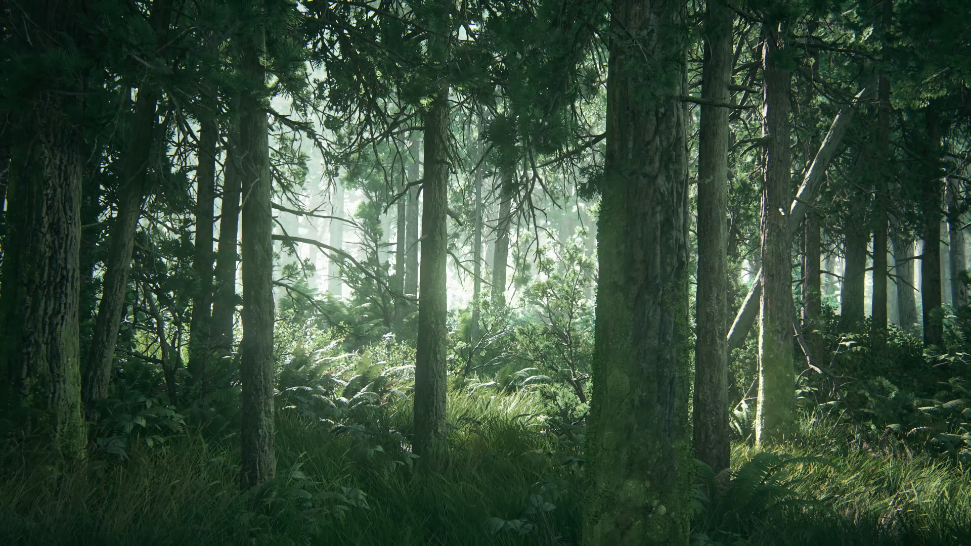 Ellie, 1080P, The Last of Us 2, HD Wallpaper