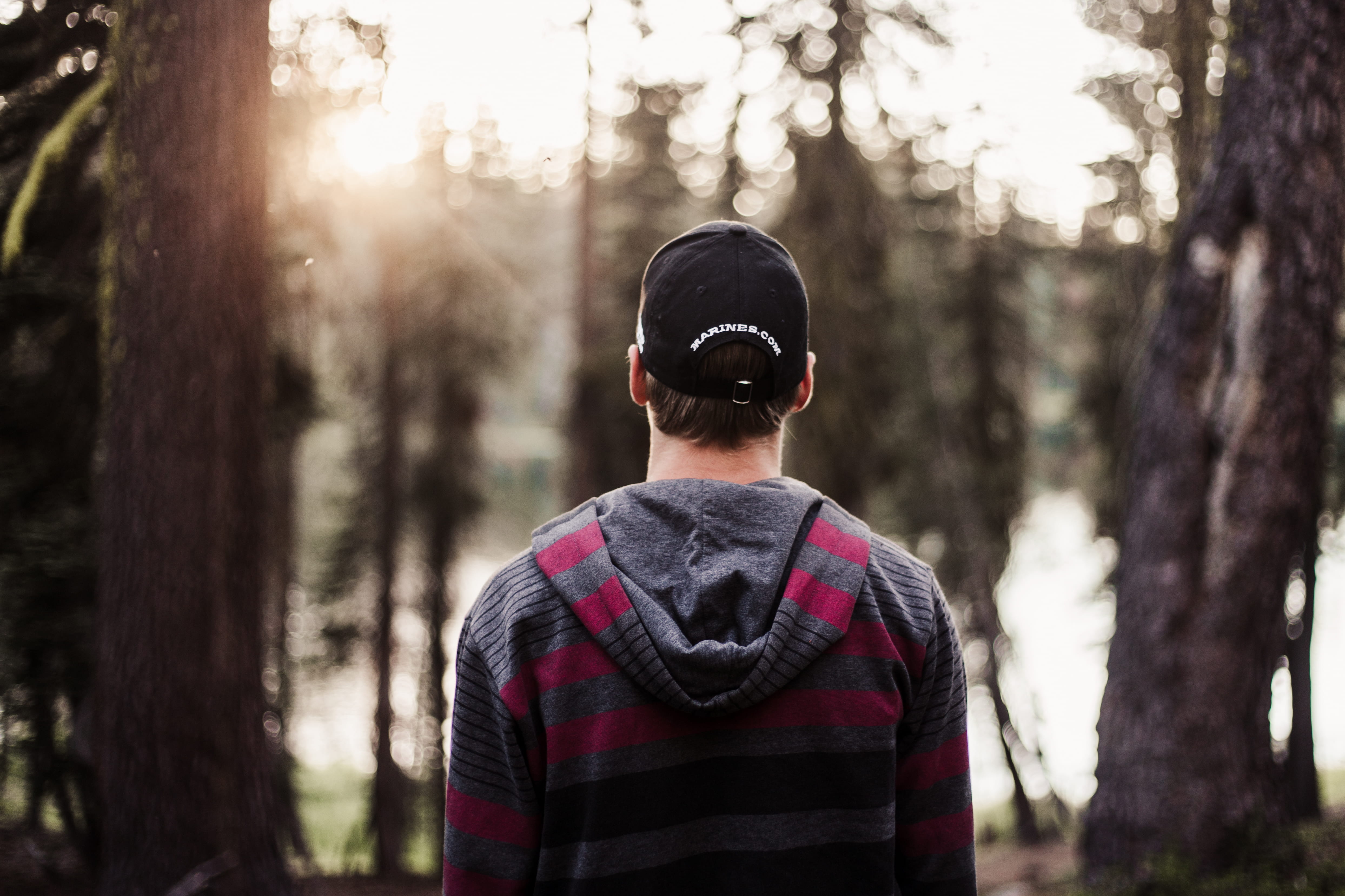 young man, trees, one person, front, trucker hat, selective, leisure activity, photo, behind, focus on foreground, cap, plant, woodland, sweater, focus, HD Wallpaper