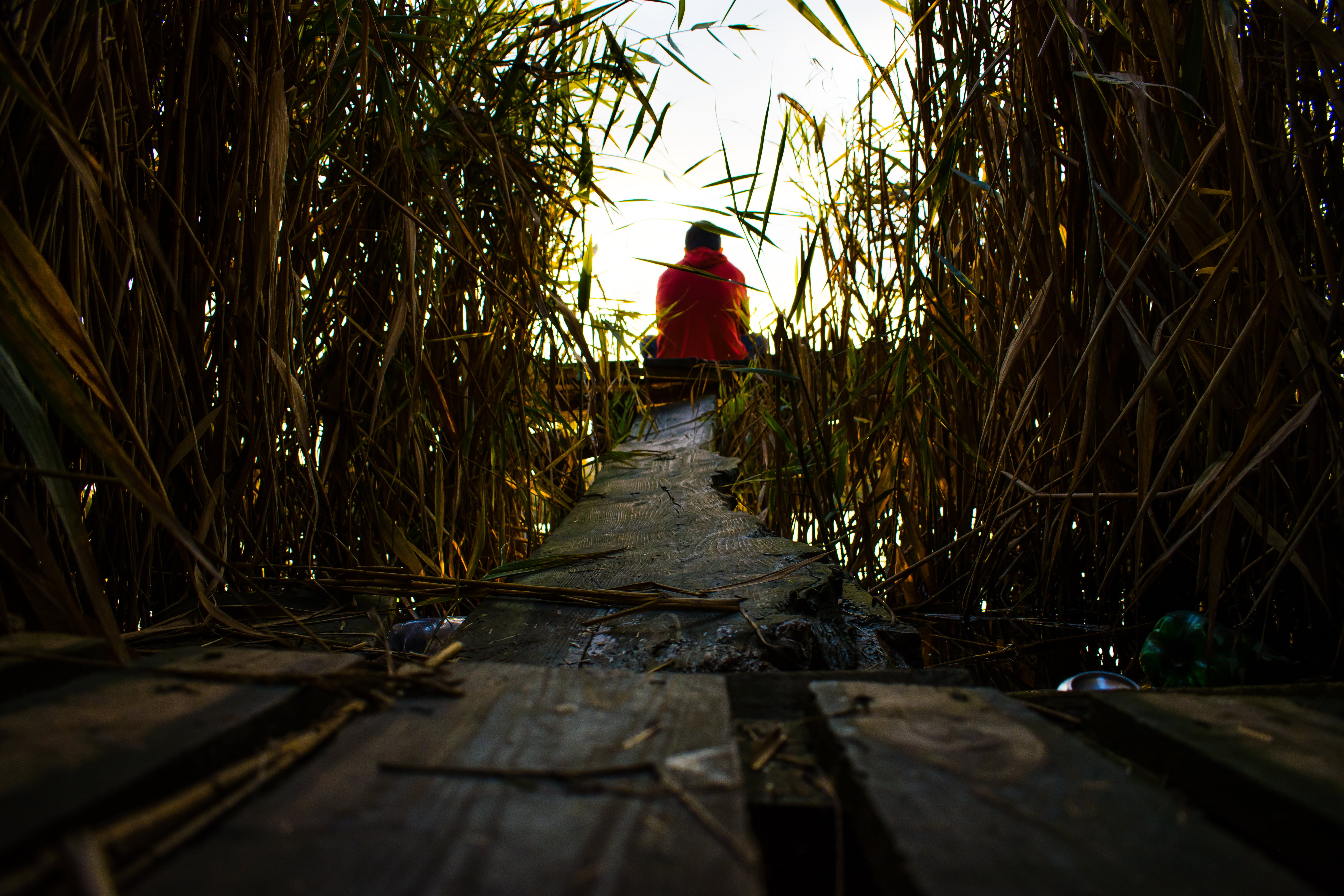 Man behind the sun, hoods, 5K, nature, daylight, wood planks, HD Wallpaper