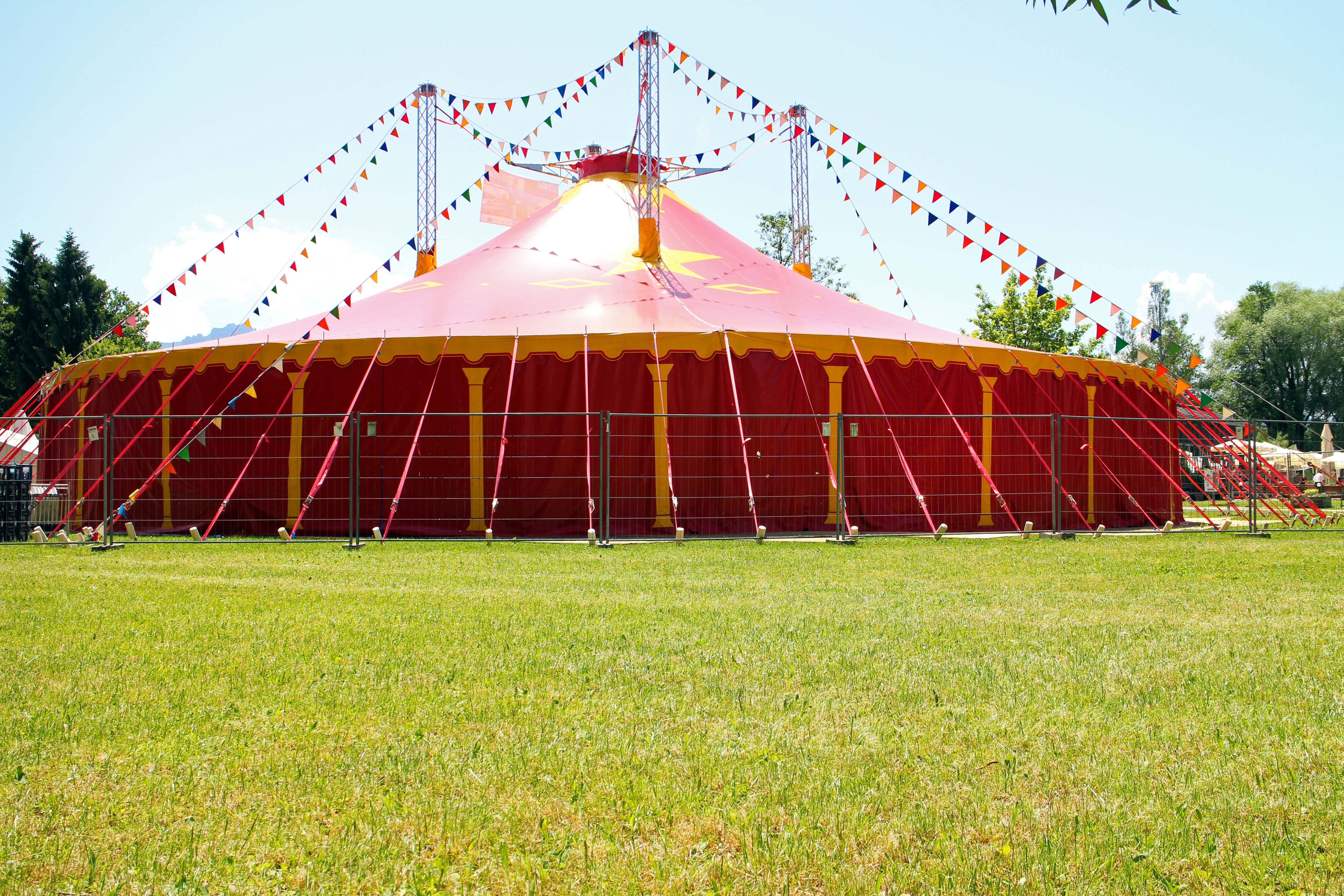 plant, circus, built structure, grass, carnival, meadow, tent, arts culture and entertainment, day, sunny, green color, no people, architecture, building exterior, HD Wallpaper