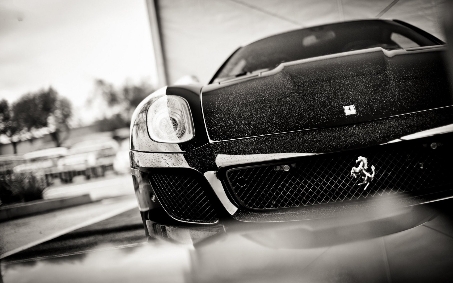 Ferrari SA Aperta, Black and White, Vehicle, 1080P, Sport Car, Car, Ferrari, HD Wallpaper
