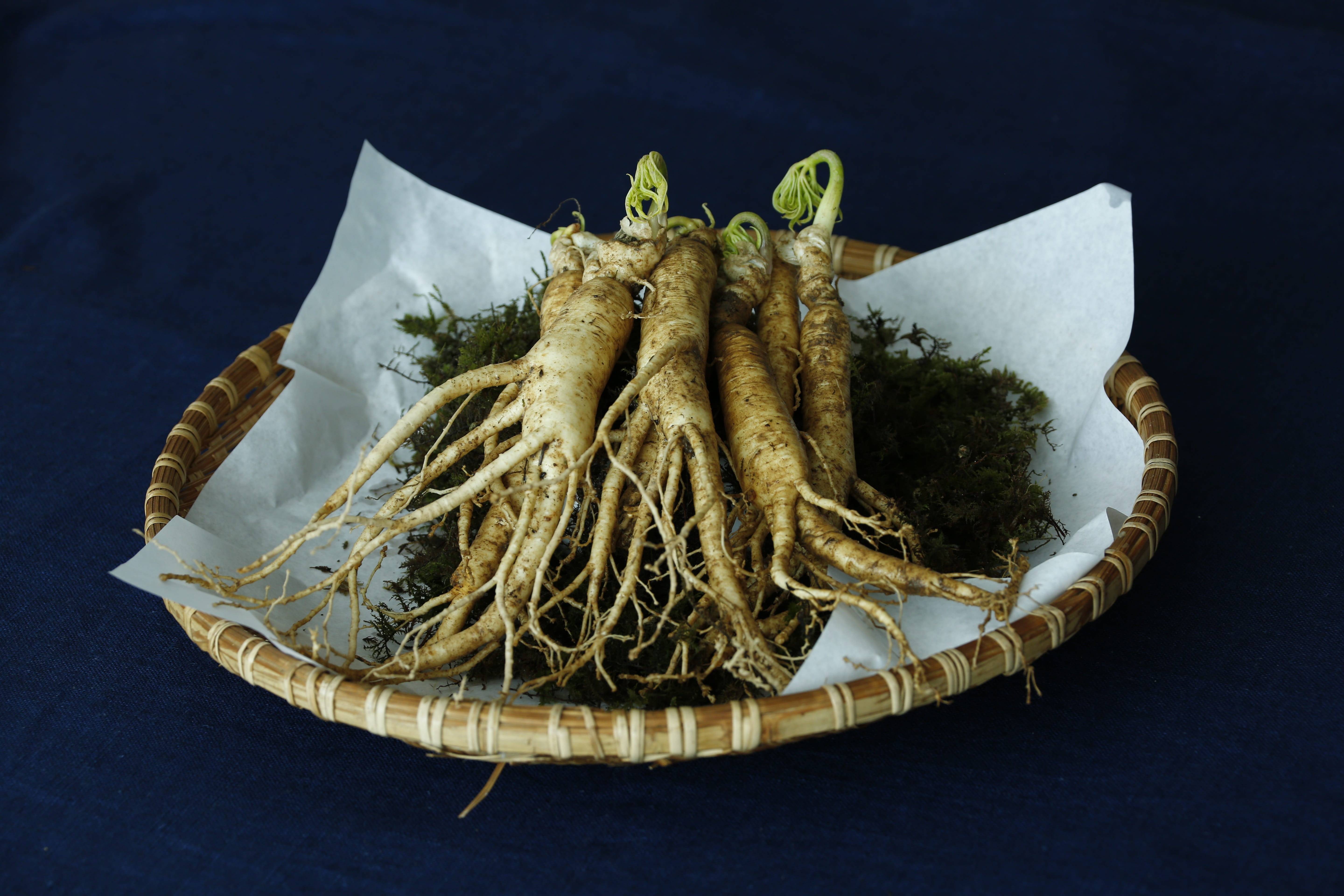 ready-to-eat, colored background, black background, freshness, basket, healthy eating, table, animal, food and drink, ginseng, indoors, no people, close-up, HD Wallpaper