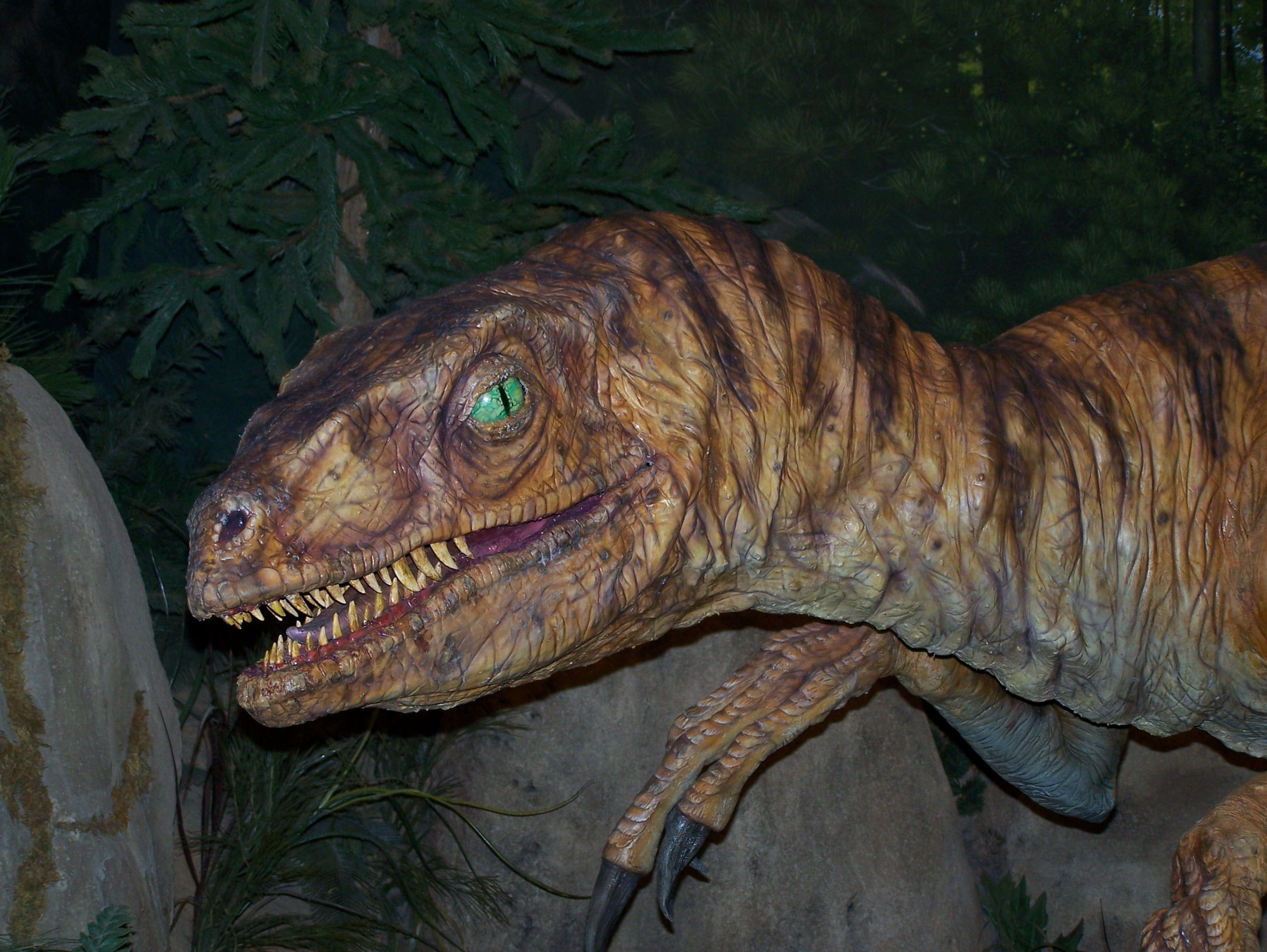 animal body part, exposition, museum, animal, vertebrate, carnivorous, side view, fake, animal themes, iguana, outdoors, no people, green color, dinosaur, HD Wallpaper