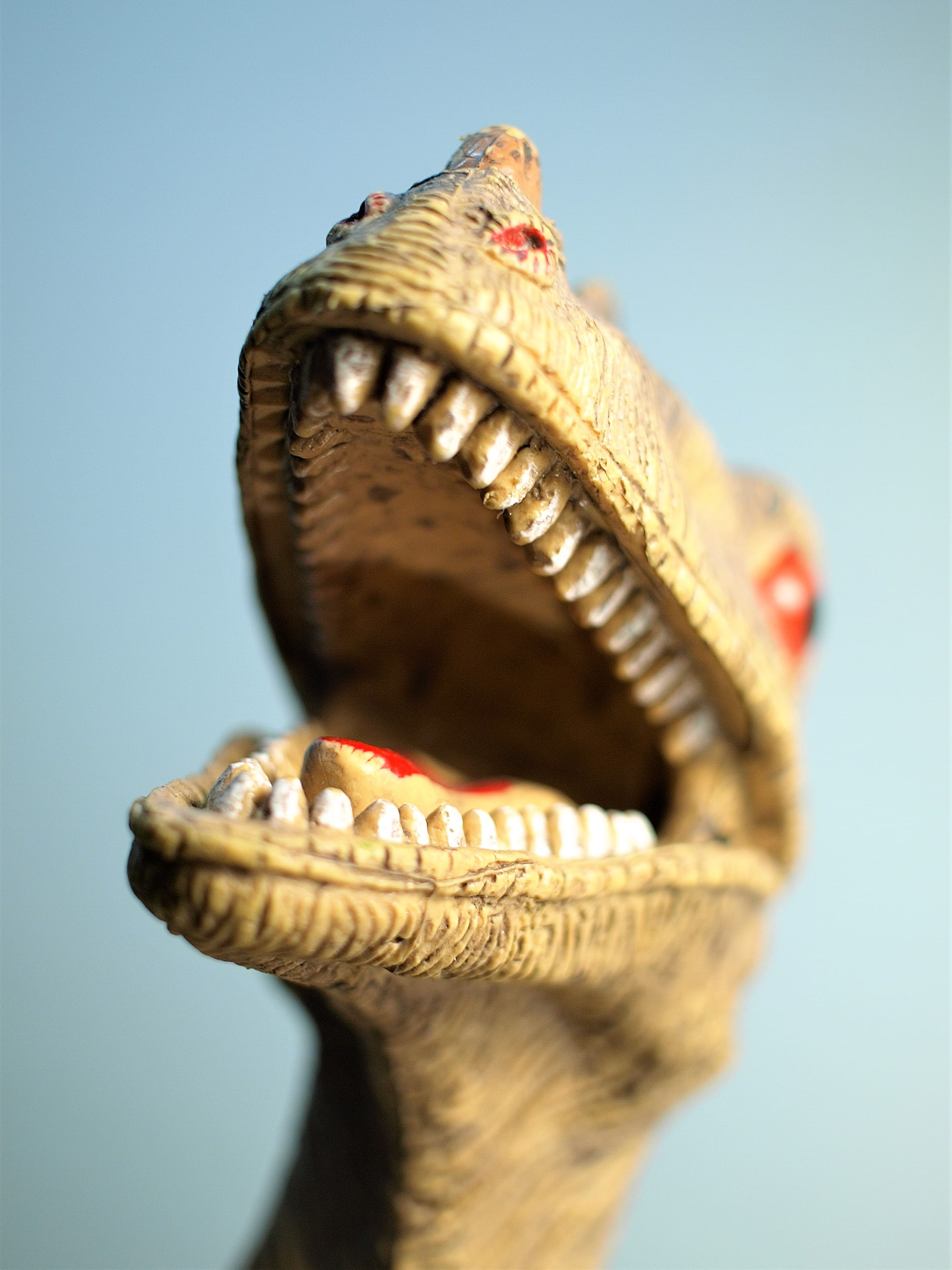 blue background, photography, blue, animal body part, representation, toy, animal head, indoors, focus on foreground, teeth, mouth, animal mouth, animal themes, Phone HD Wallpaper