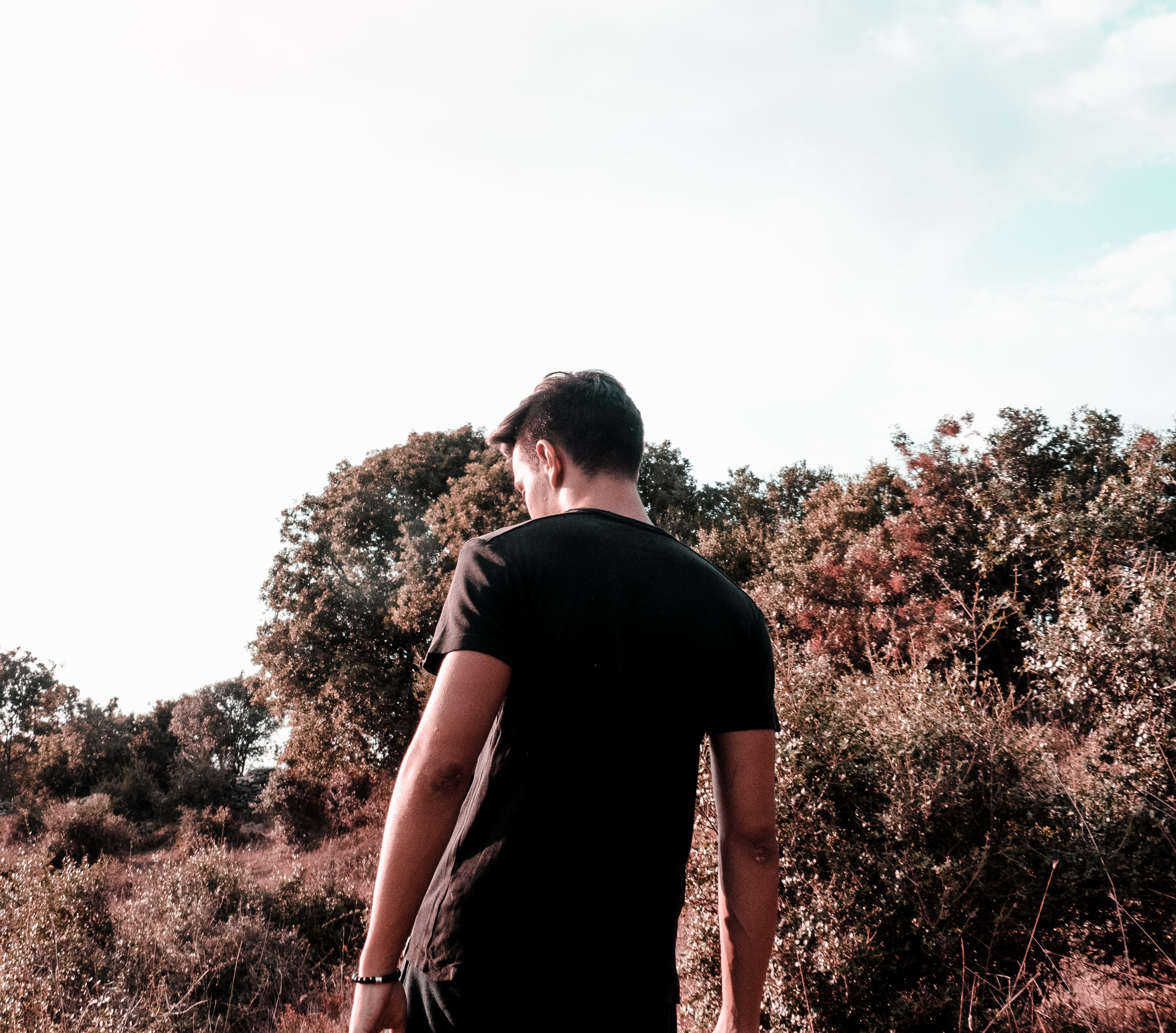 one person, orange, looking, waist up, forest, sun, standing, land, leisure activity, sunshine, three quarter length, tree, person, croatia, growth, view, HD Wallpaper