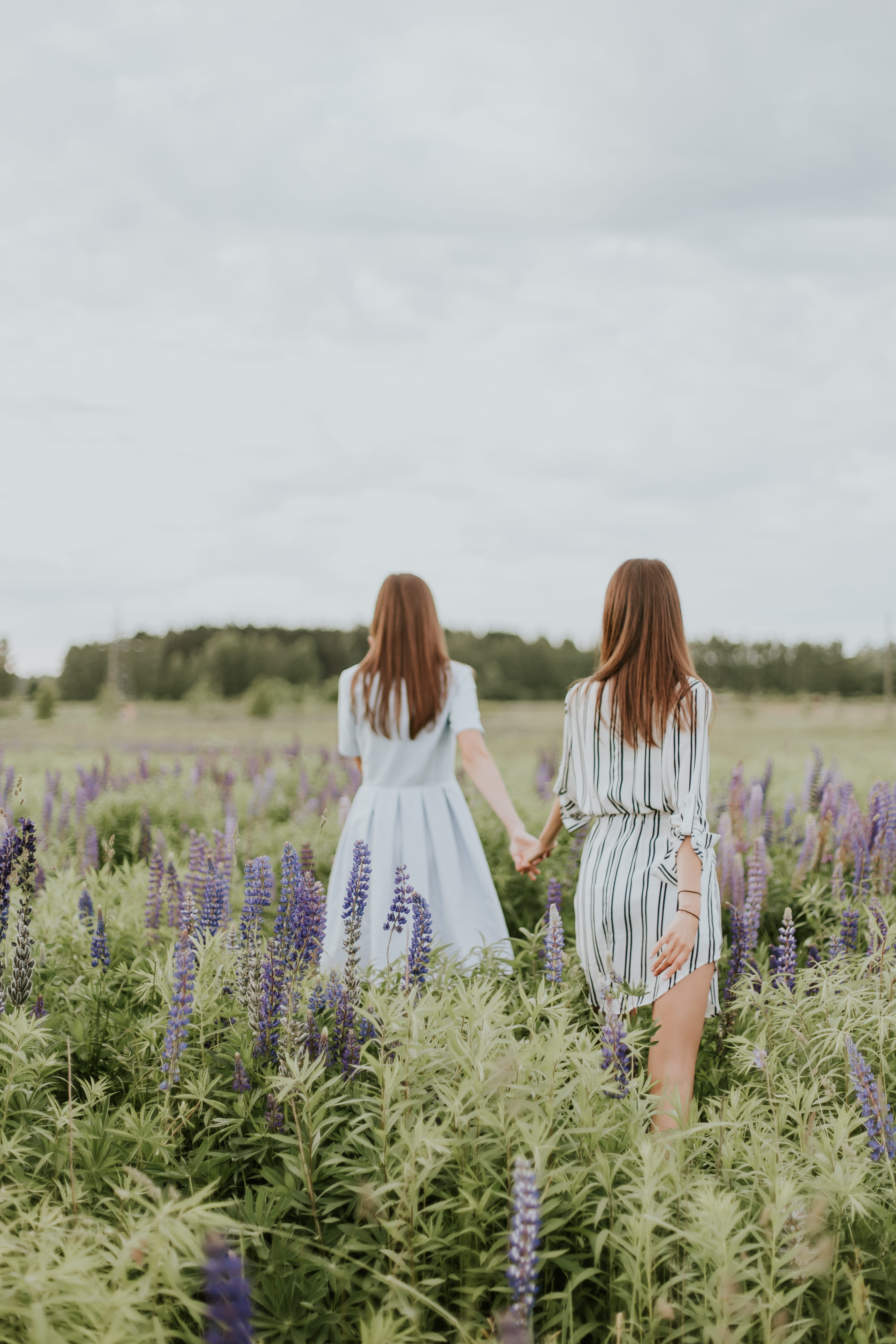 purple, lets go, friend, friendship, leisure activity, growth, lavender, three quarter length, adult, women, standing, two people, walking, best friend, Phone HD Wallpaper