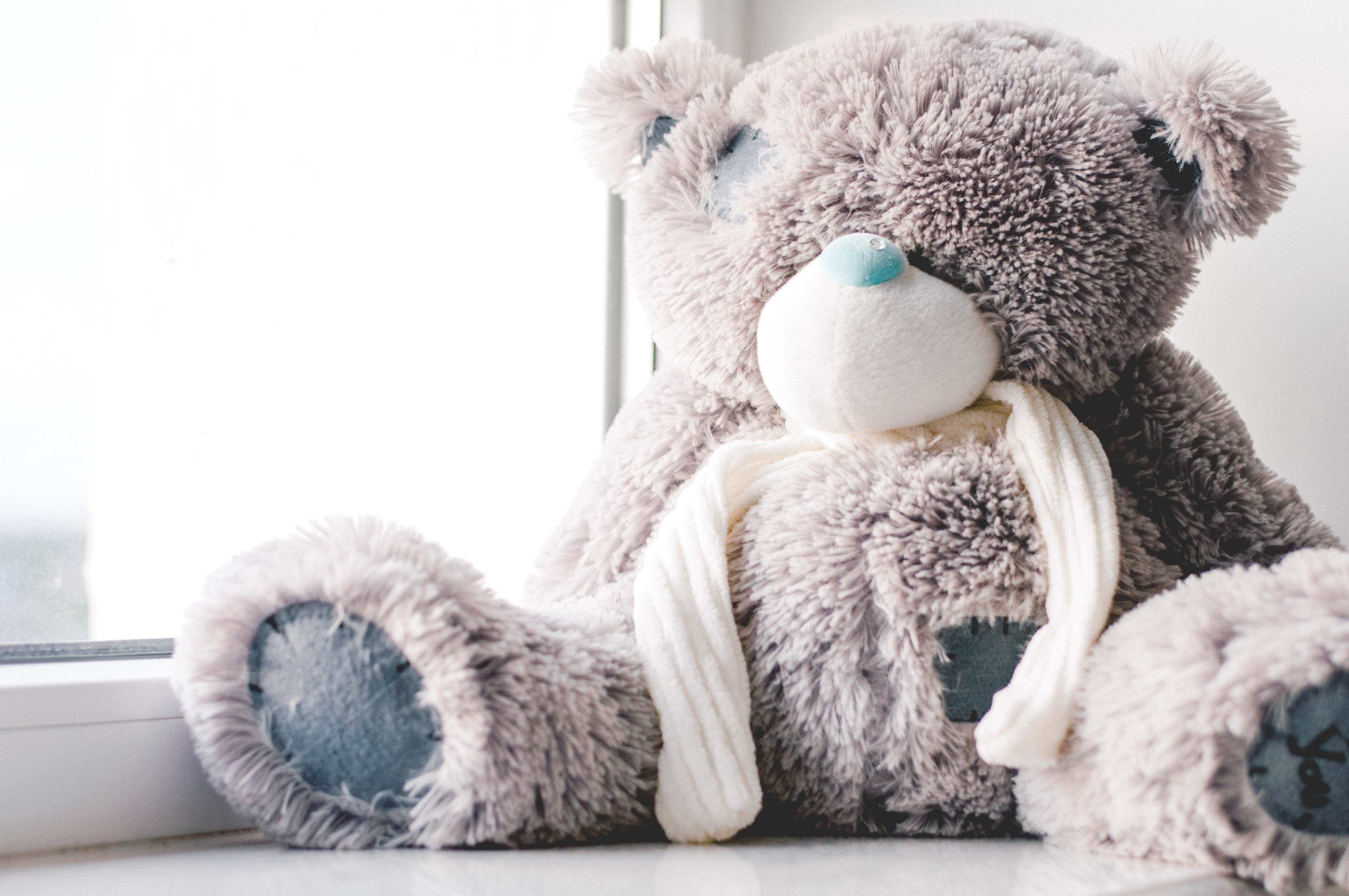 childhood, single object, cute, innocence, nikon, friend, bear, still life, animal representation, window, representation, toy, light, me you, brown, 4K, HD Wallpaper