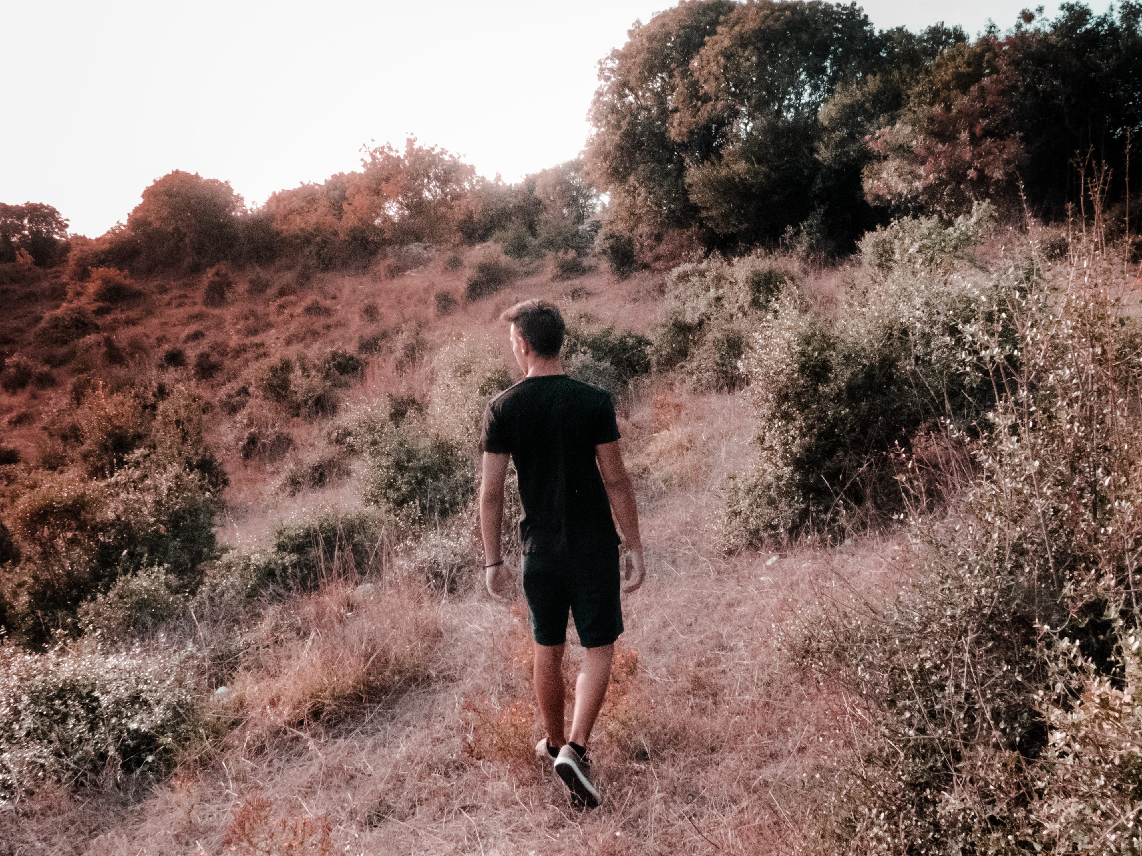 beauty in nature, me, men, standing, light, day, 4K, forest, casual clothing, one person, rear view, growth, sunset, nature, sun, trees, portrait, view, HD Wallpaper