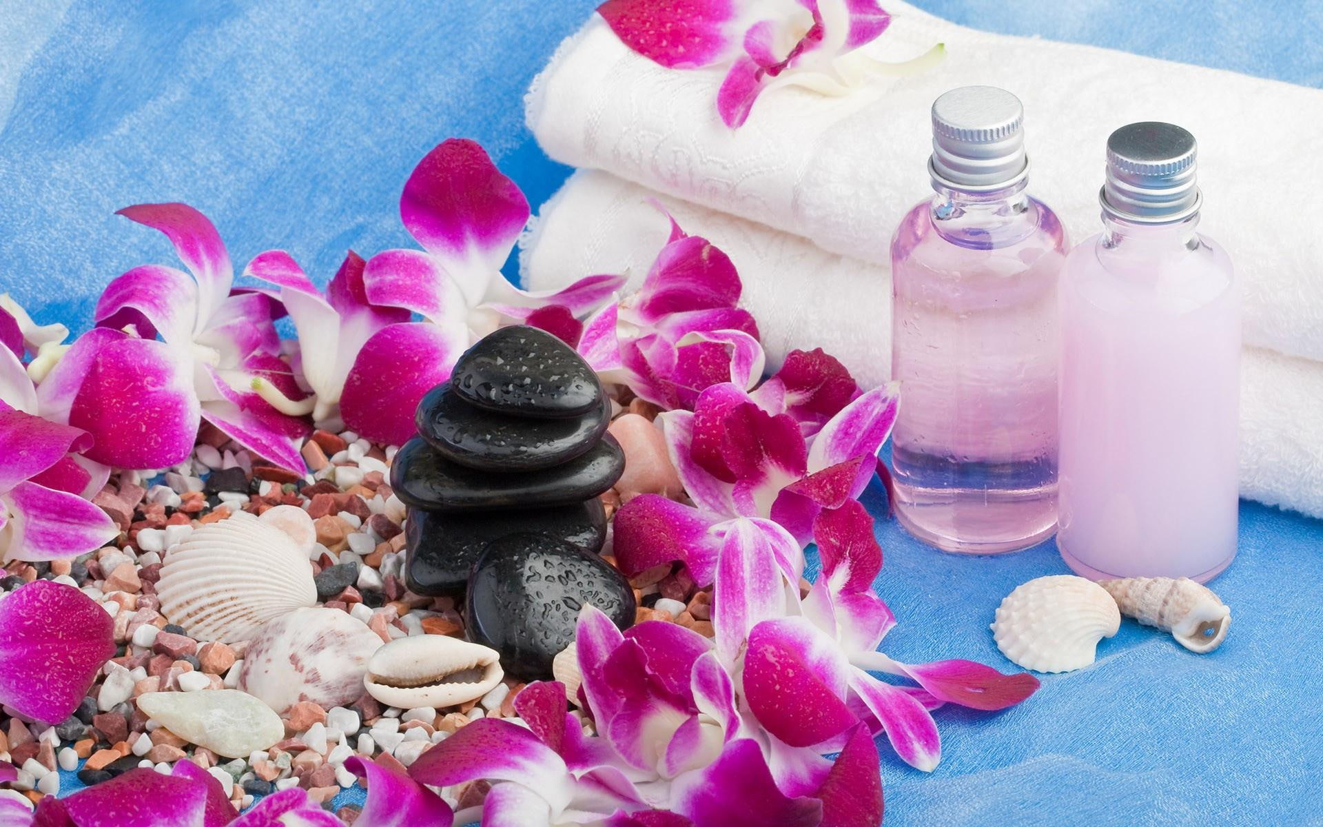 white, photography, pebble, 1080P, shells, pink, pebbles, petal, shell, petals, massage, 1920x1200, oils, HD Wallpaper