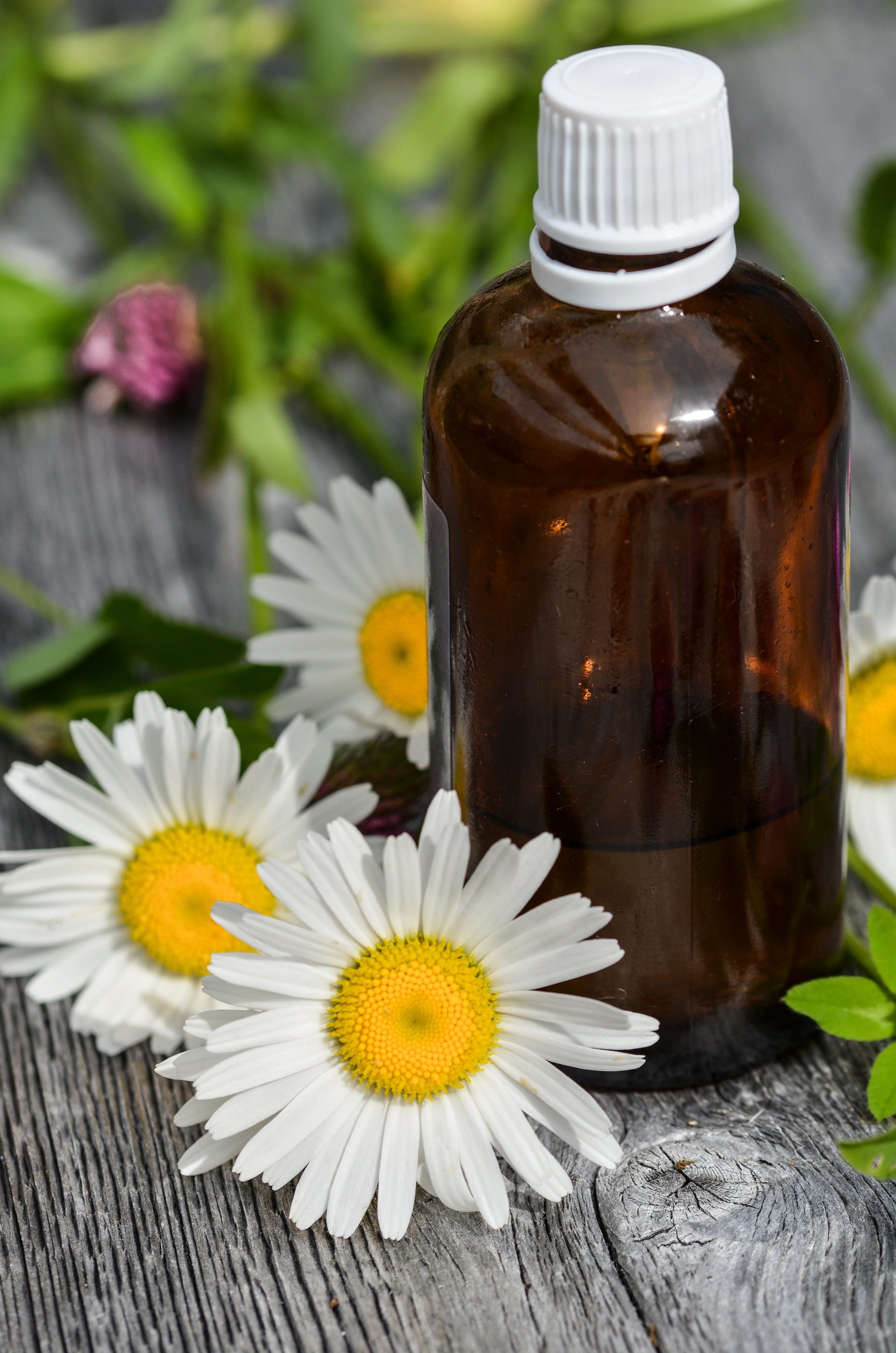 food and drink, petal, wellness, health, essential oils, wood - material, zen, table, care, alternative, freshness, body, scent, flower head, fragility, Phone HD Wallpaper