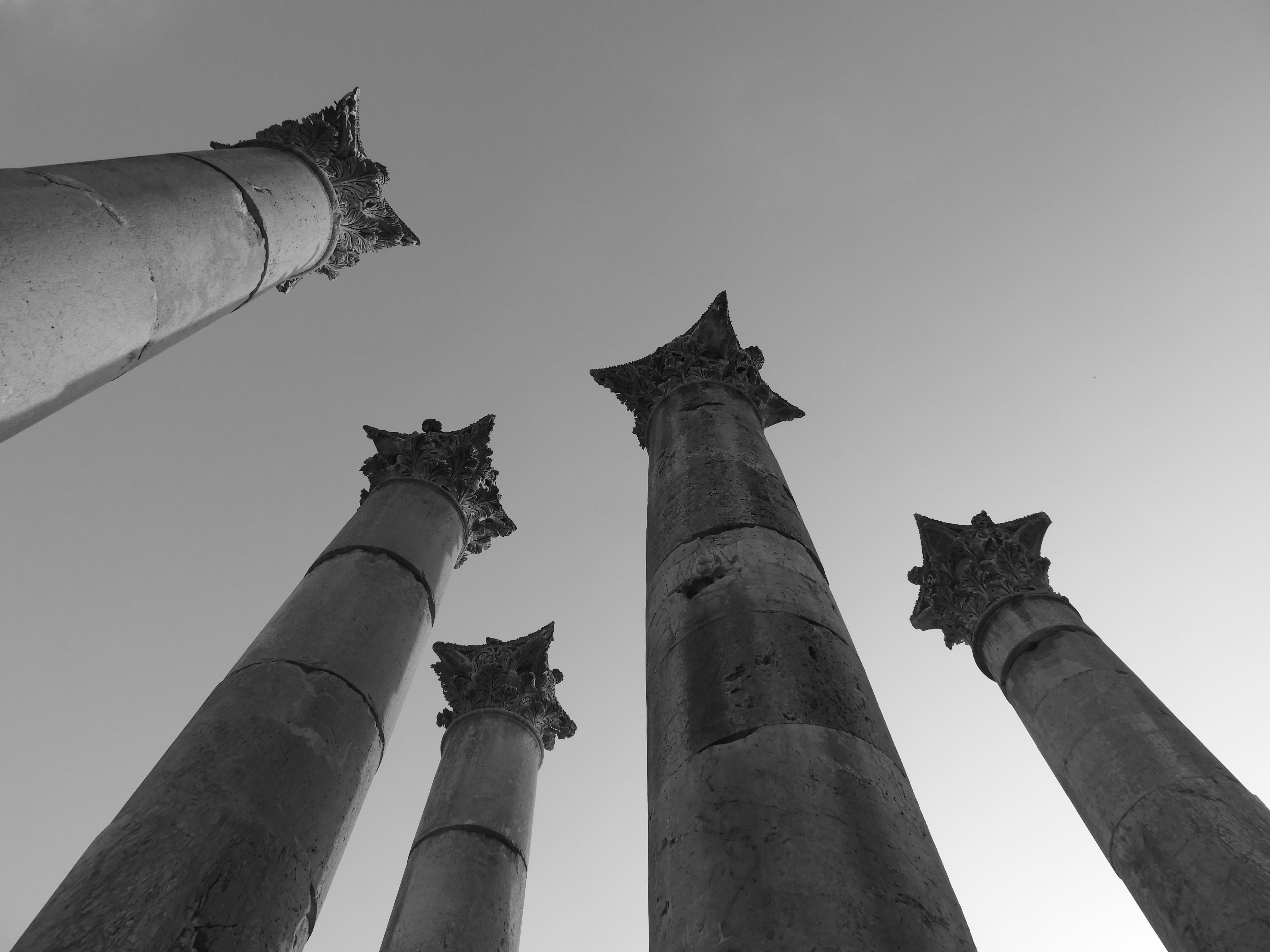 archaeology, outdoors, nature, architecture, day, sculpture, no people, animal themes, middle east, vertebrate, antiquity, history, built structure, clear sky, HD Wallpaper