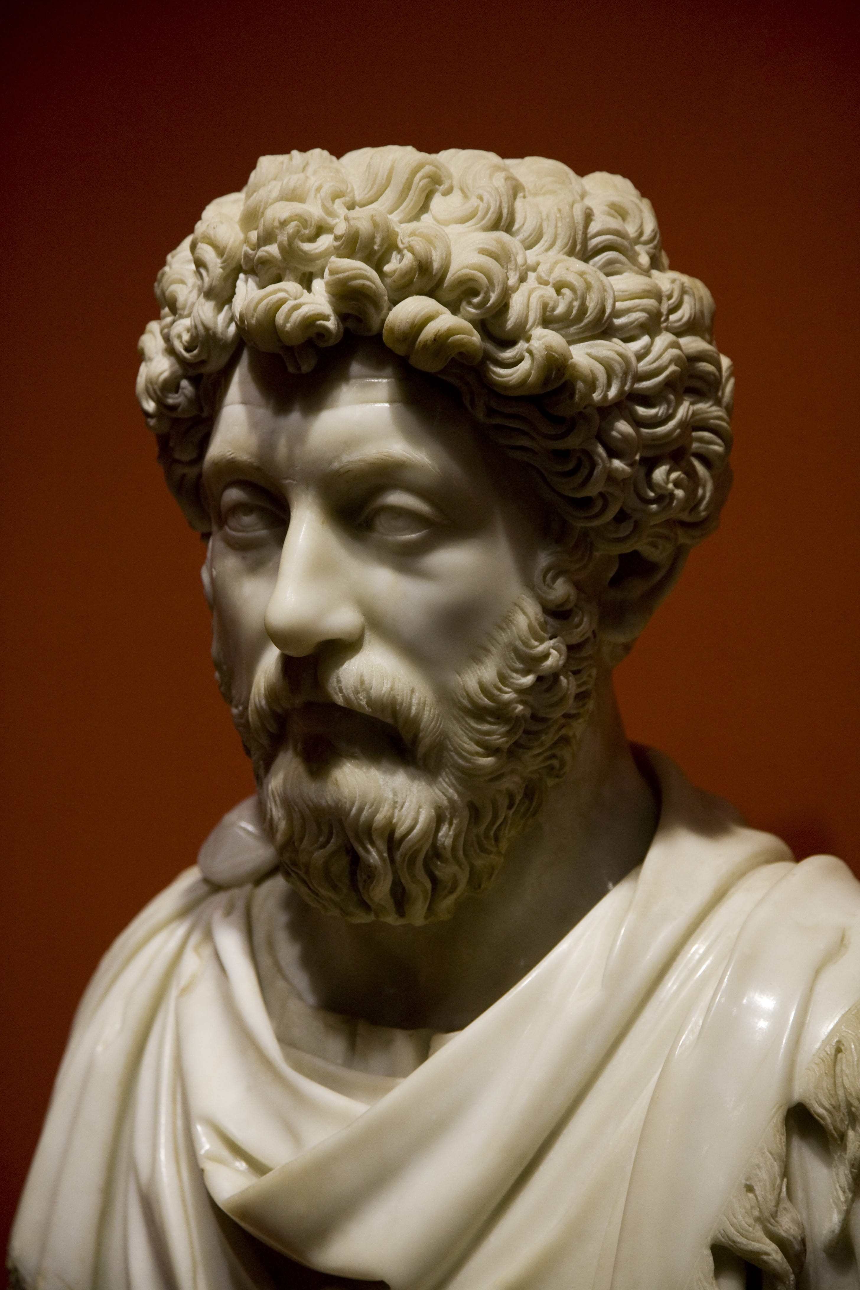 ephesus museum, museum, face, the past, representation, art, architecture, old, human face, facial hair, marble, hairstyle, 4K, creativity, rome, studio shot, Phone HD Wallpaper