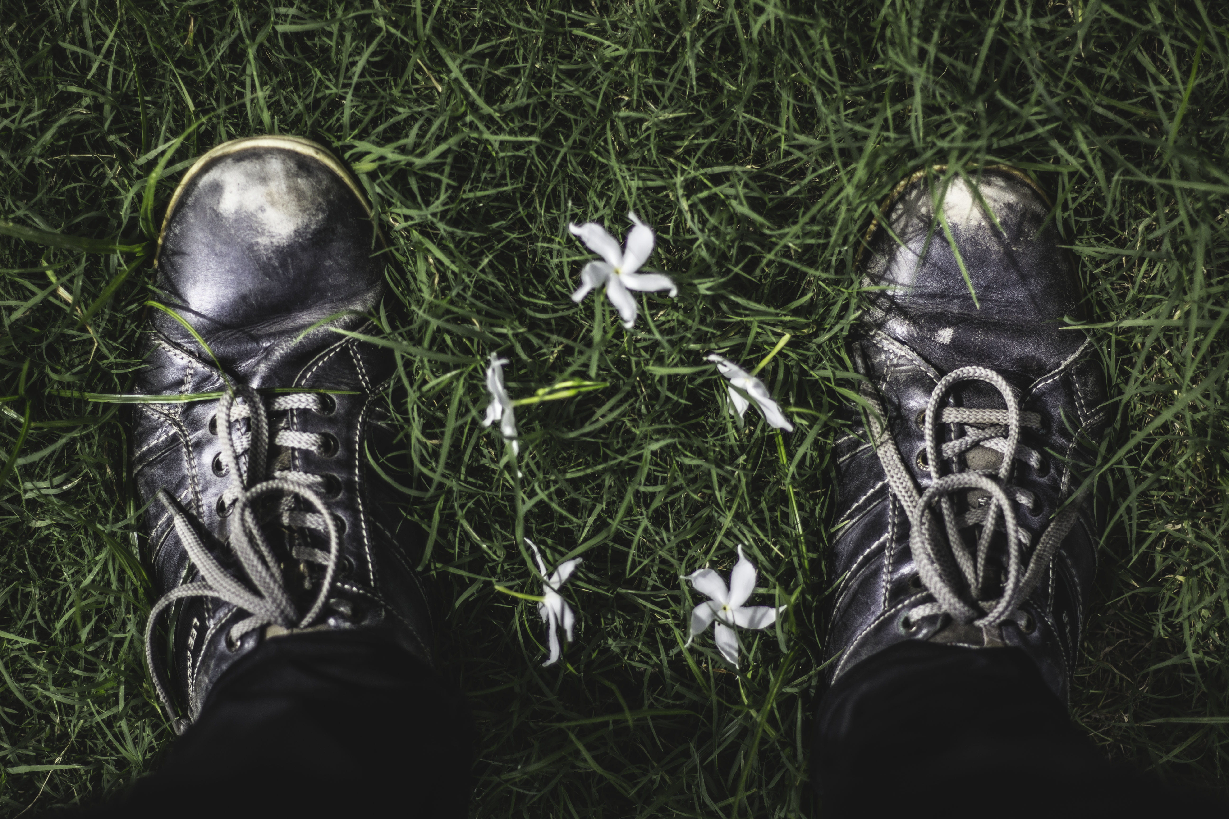 field, flowers, real people, shoes, land, feel, 5K, body part, human limb, personal perspective, human foot, human body part, outdoors, growth, unrecognizable person, HD Wallpaper
