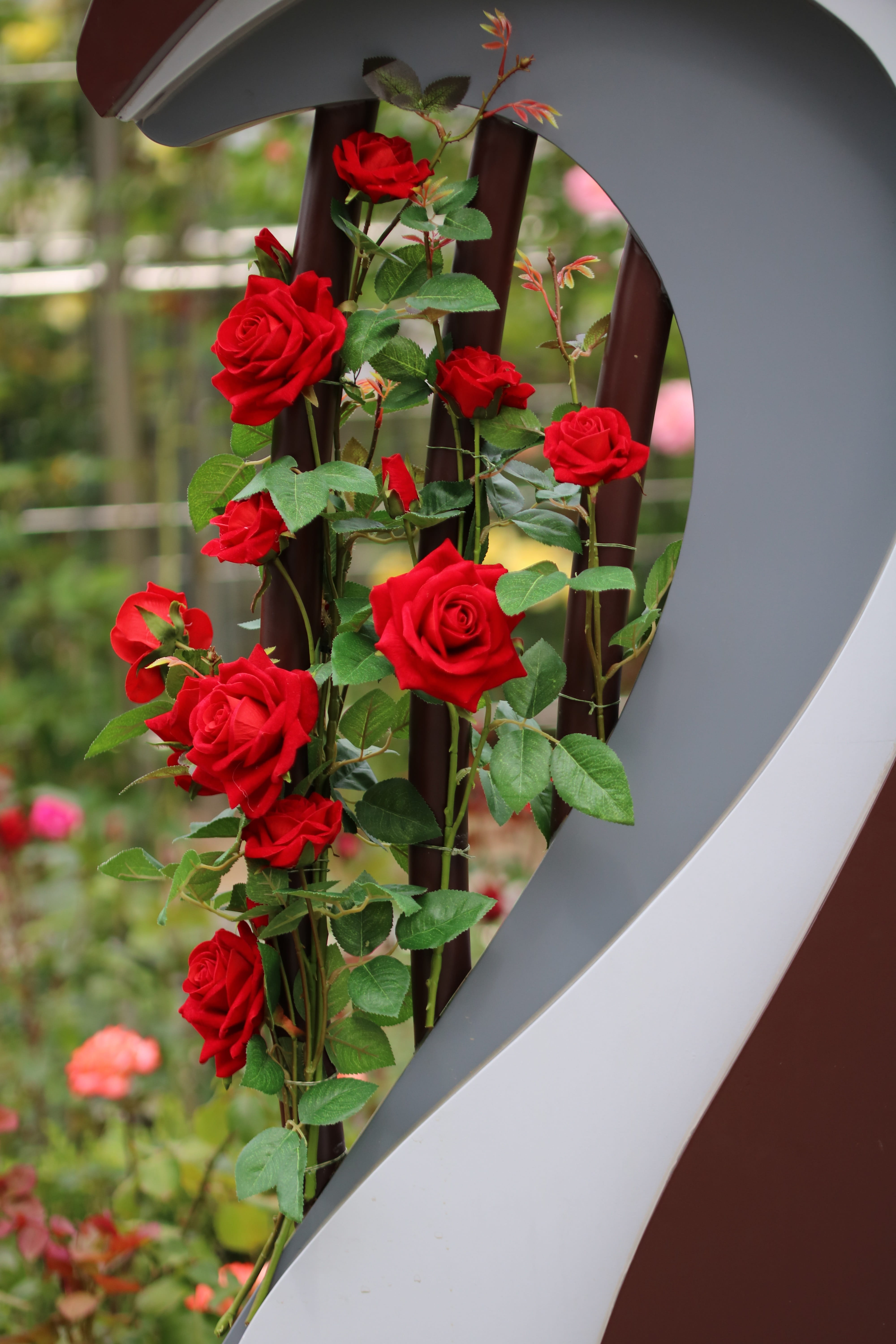 flower pot, rose, freshness, fragility, growth, bunch of flowers, seoul, petal, beautiful, rose garden, rose - flower, no people, flower arrangement, fresh medium, Phone HD Wallpaper