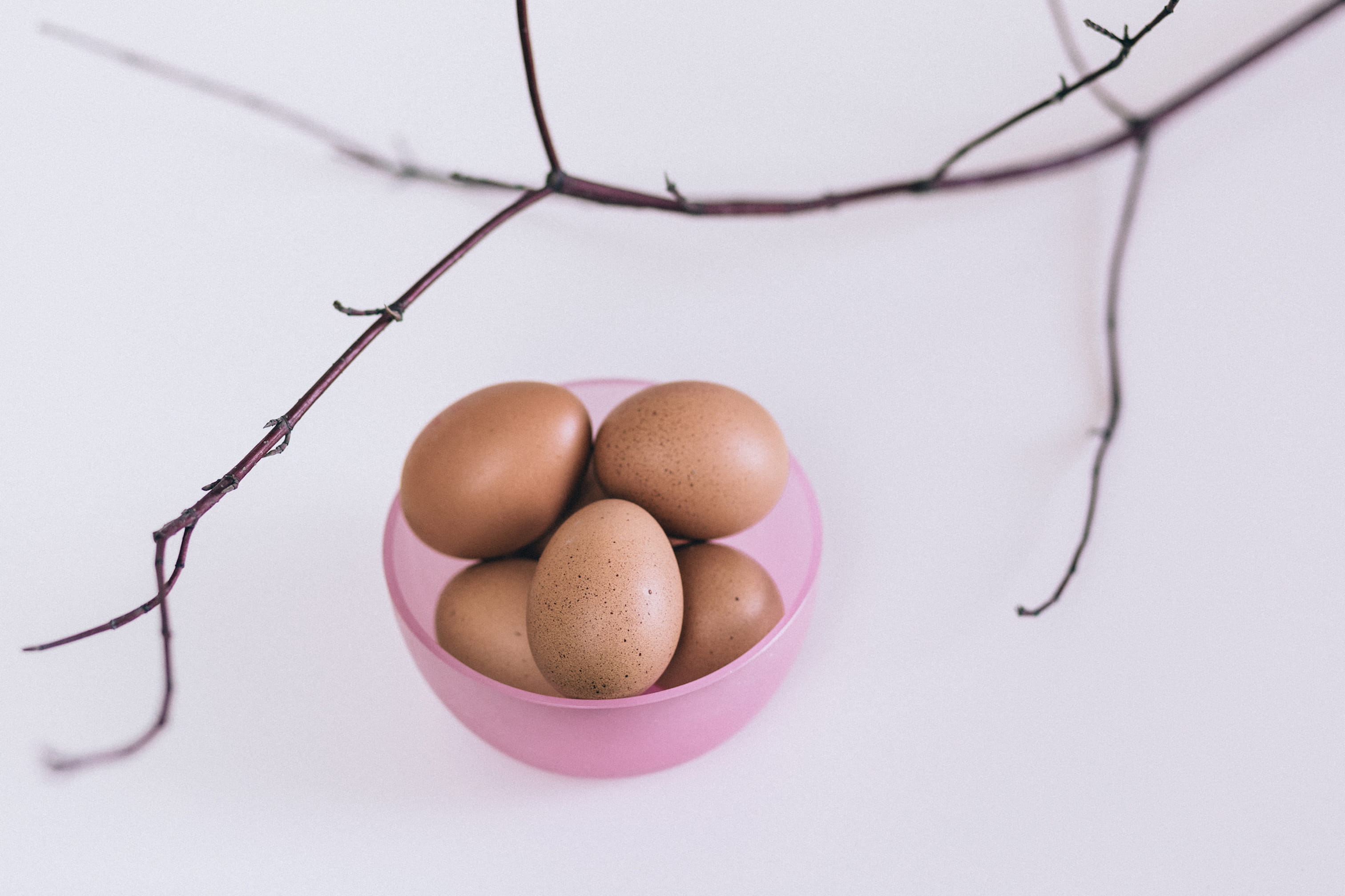 animal egg, white background, close-up, purple, indoors, no people, freshness, still life, brown, bowl, nature, food and drink, group of objects, healthy eating, HD Wallpaper