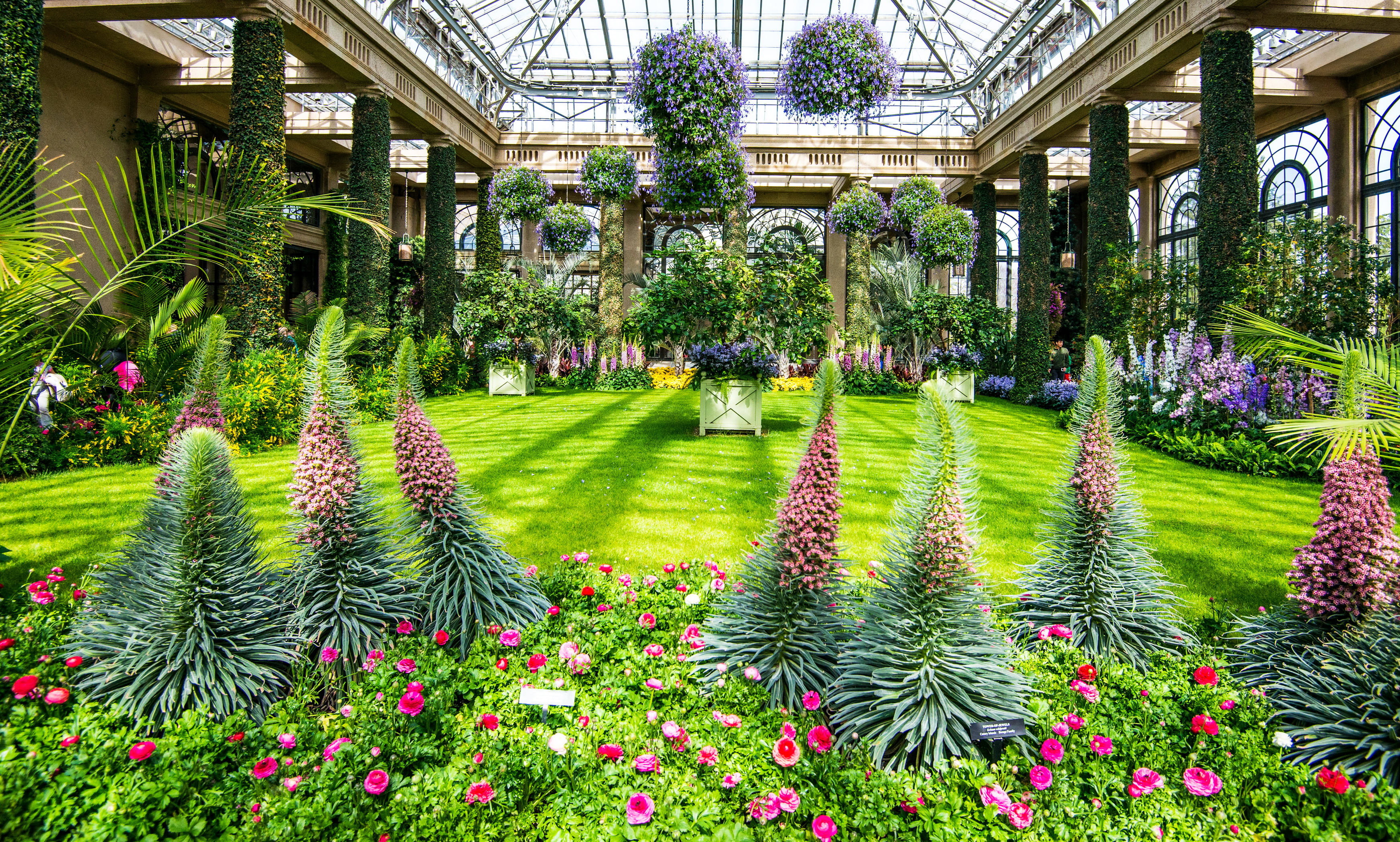 front or back yard, decoration, no People, flower, botany, the bushes, agriculture, park - man made space, Longwood Kennett Square, hot, flowers, tree, HD Wallpaper