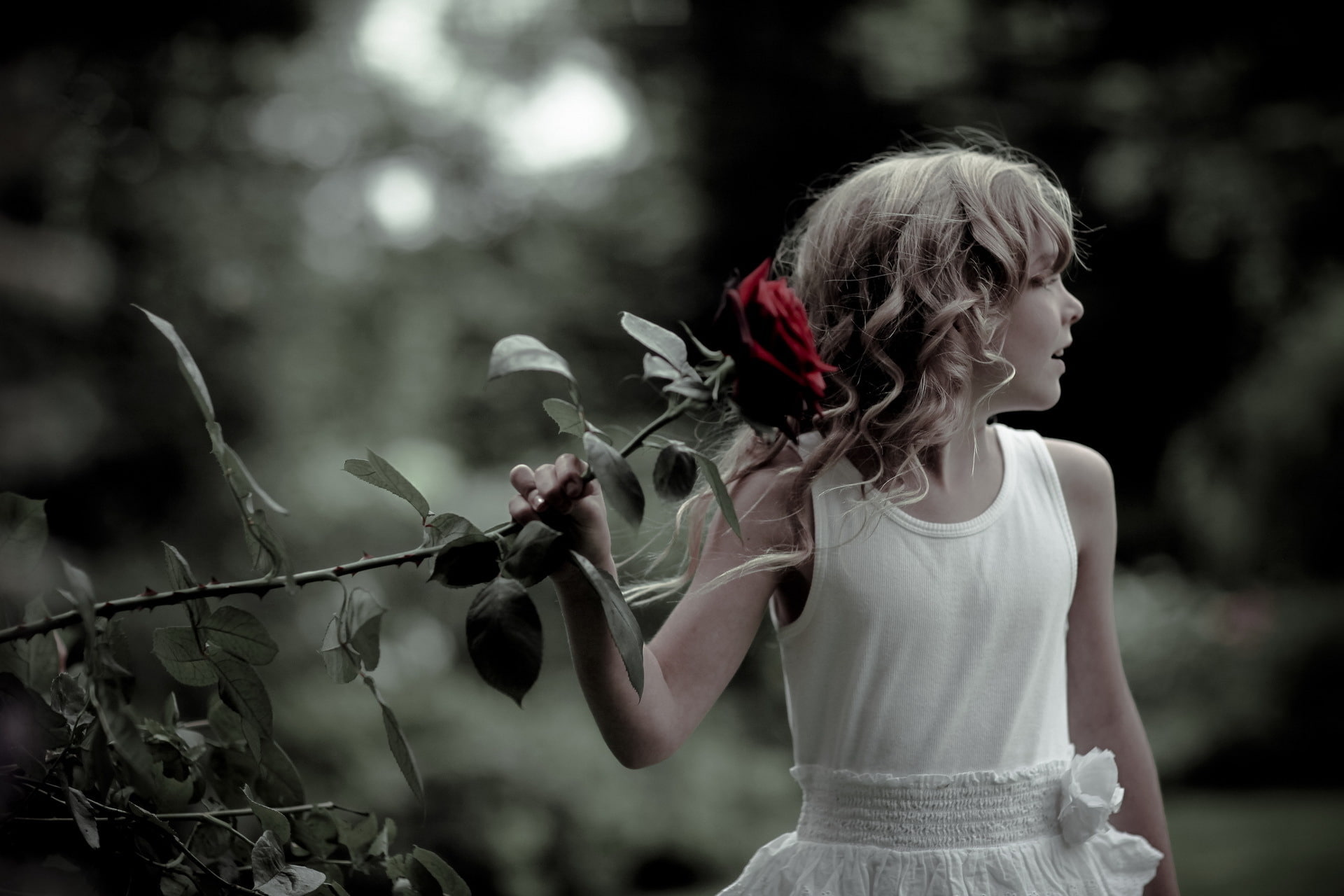 brunette, roses, girl, mood, beautiful, nature, children, dress, people, 1080P, trees, cute, female, garden, park, emotion, plants, child, flowers, HD Wallpaper