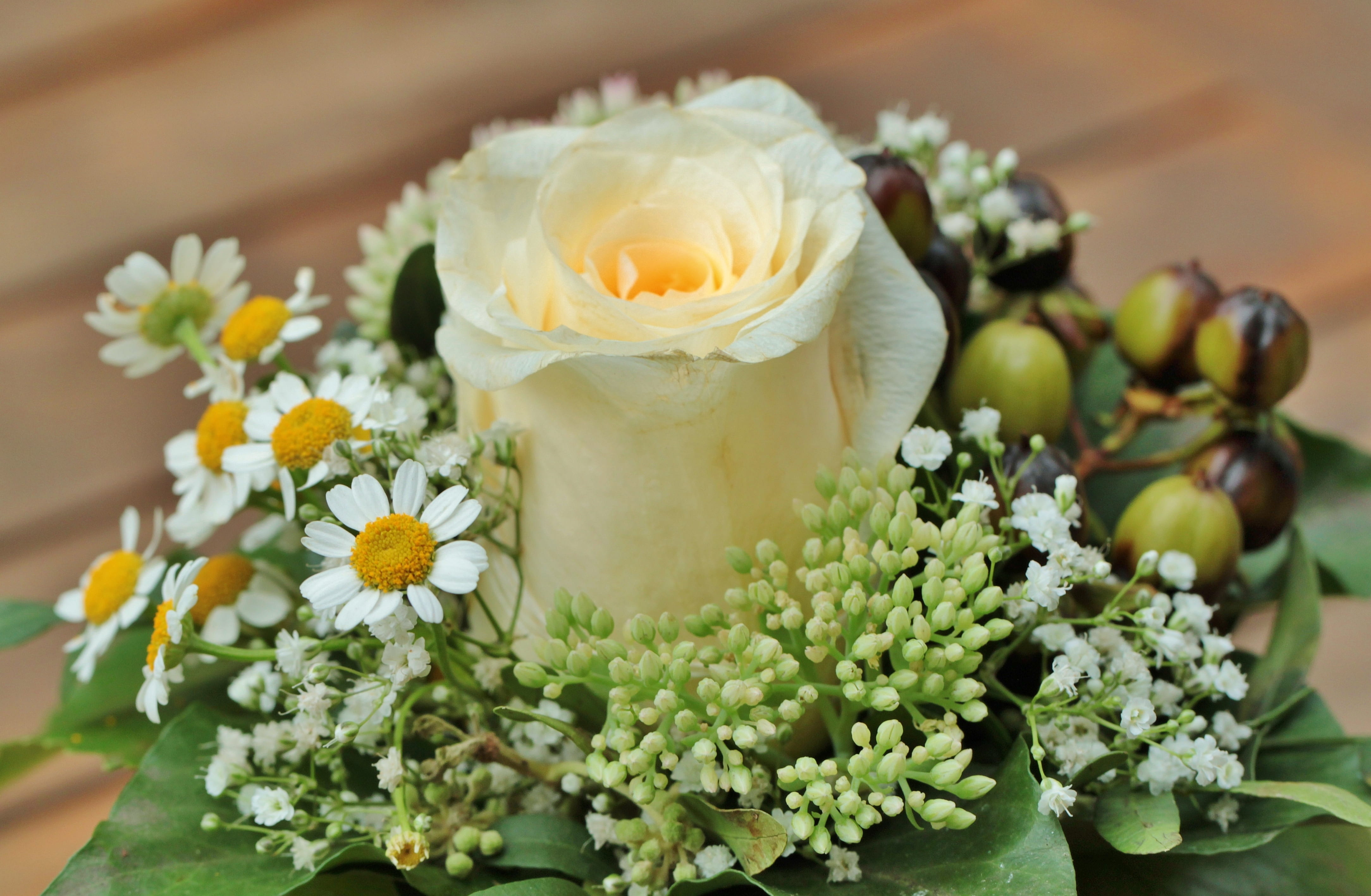 nature, yellow, flower arrangement, indoors, white, flowers, flower, focus on foreground, white roses, bouquet, blum tight binding, flower head, table decoration, HD Wallpaper
