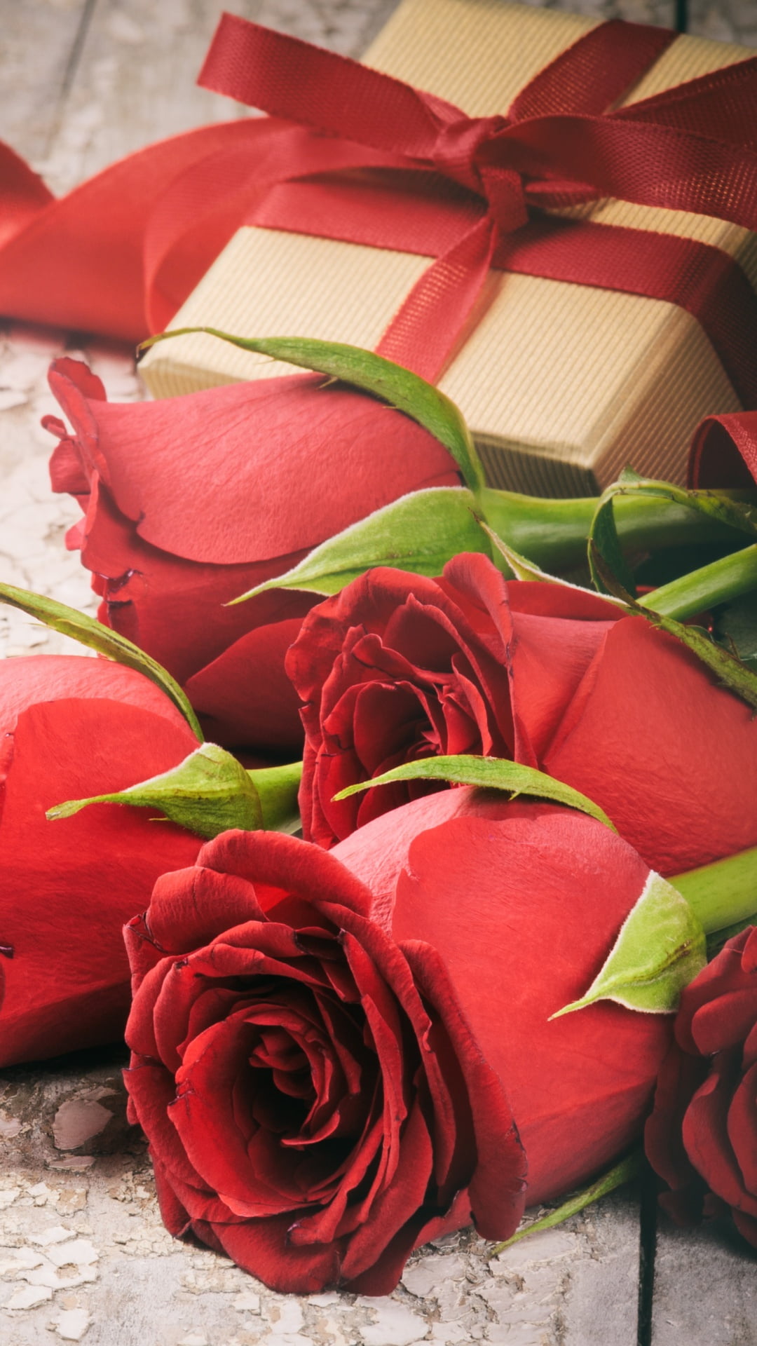 rose, leaf, flower head, high angle view, inflorescence, petal, flower, roses, Valentine Day, no people, valentines day, 1080P, flower arrangement, nature, Phone HD Wallpaper