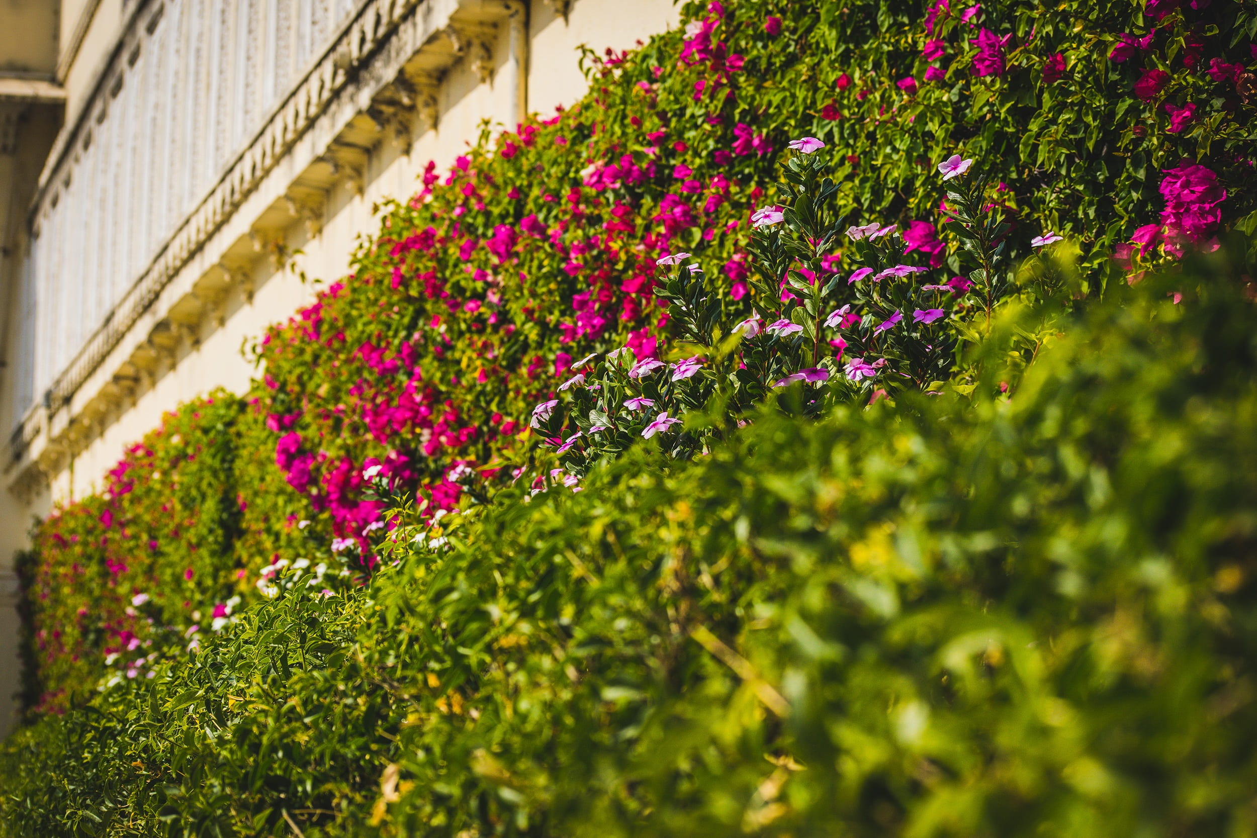 travel, palace garden, summer, pink color, park, landscape, freshness, springtime, green color, castle, close-up, exterior, old, flowerbed, architecture, HD Wallpaper