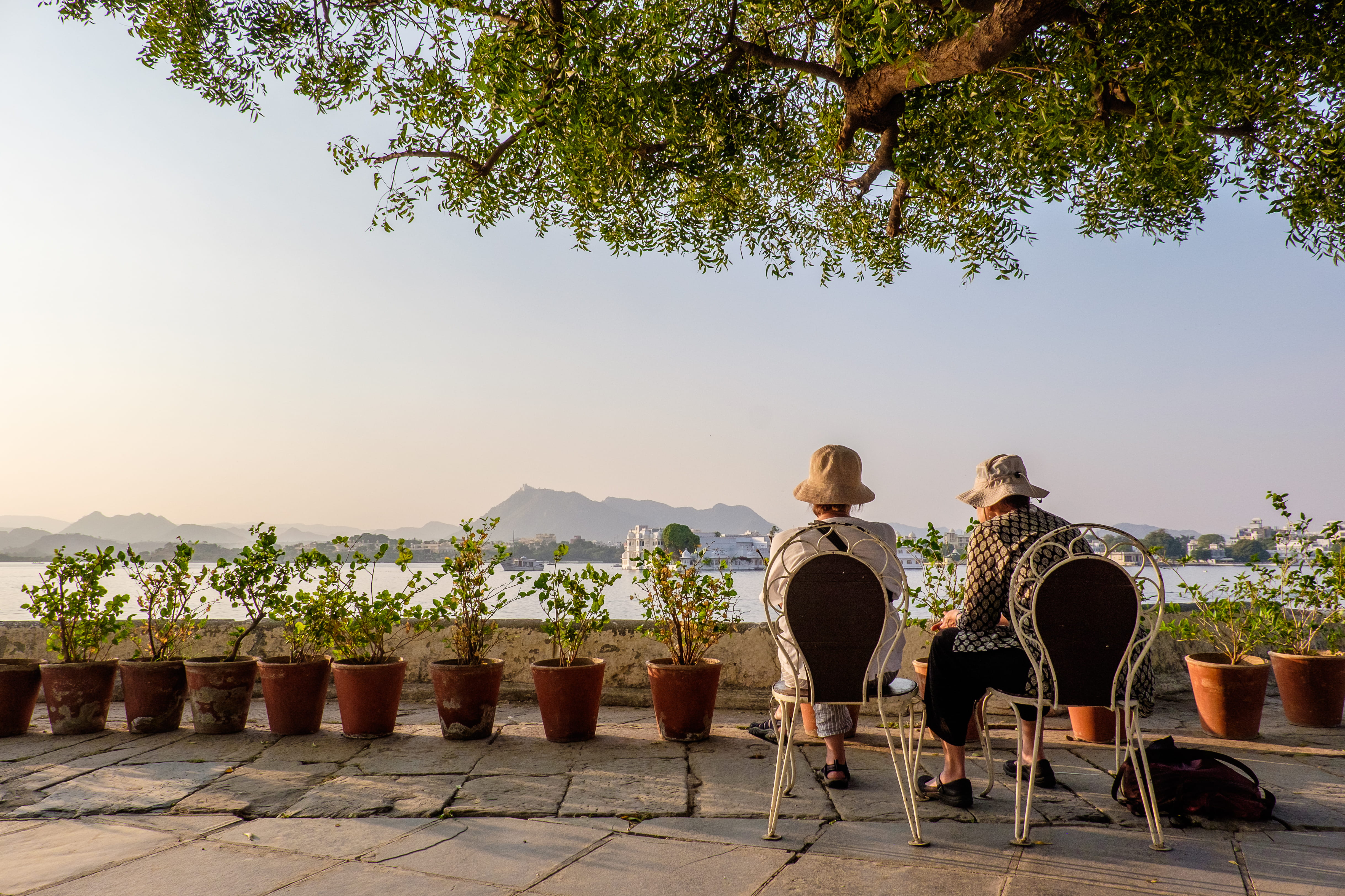 rear view, full length, day, casual clothing, togetherness, india, real people, elderly, udaipur city, people, plant, udaipur, nature, women, tourists, HD Wallpaper