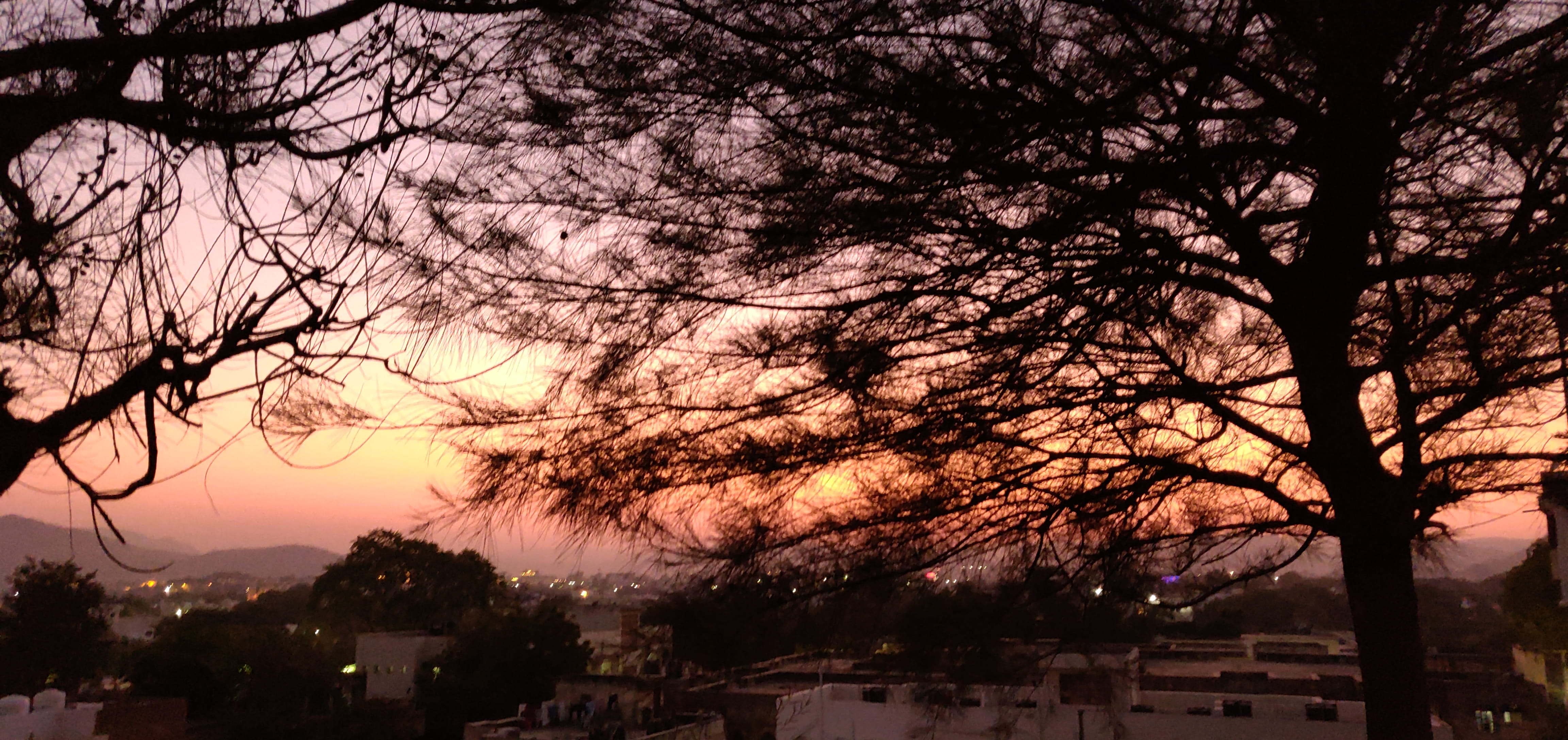 dawn, building exterior, nature, sky, silhouette, 46, architecture, urban, 4K, outdoors, sunrise, pink color, india, no people, dusk, tree, red sky, sunlight, HD Wallpaper