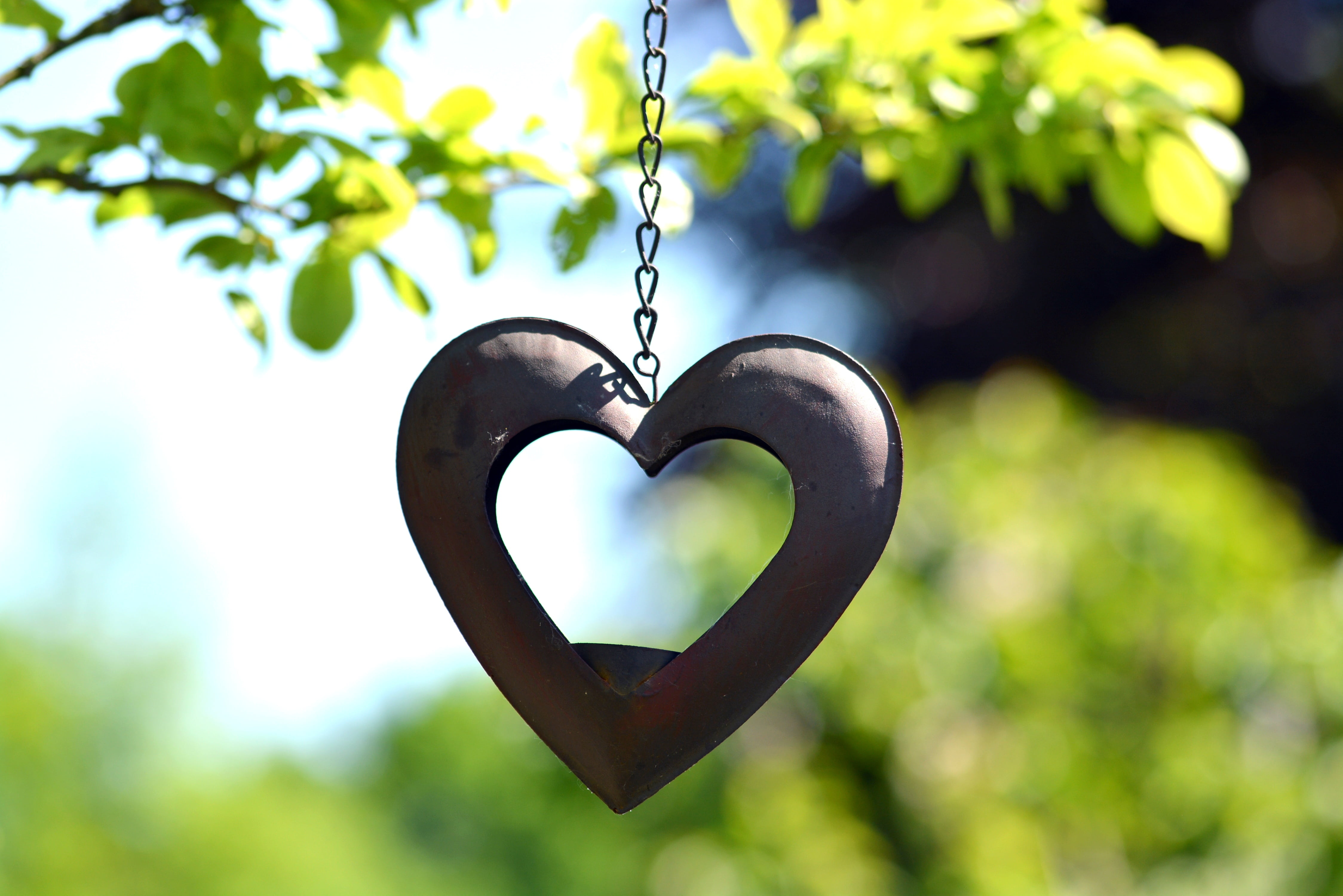 creativity, 4K, close-up, dekoherz, hanging, gartendeko, symbol, decorate, plant, nature, romance, focus on foreground, leaf, love, valentines day - holiday, HD Wallpaper