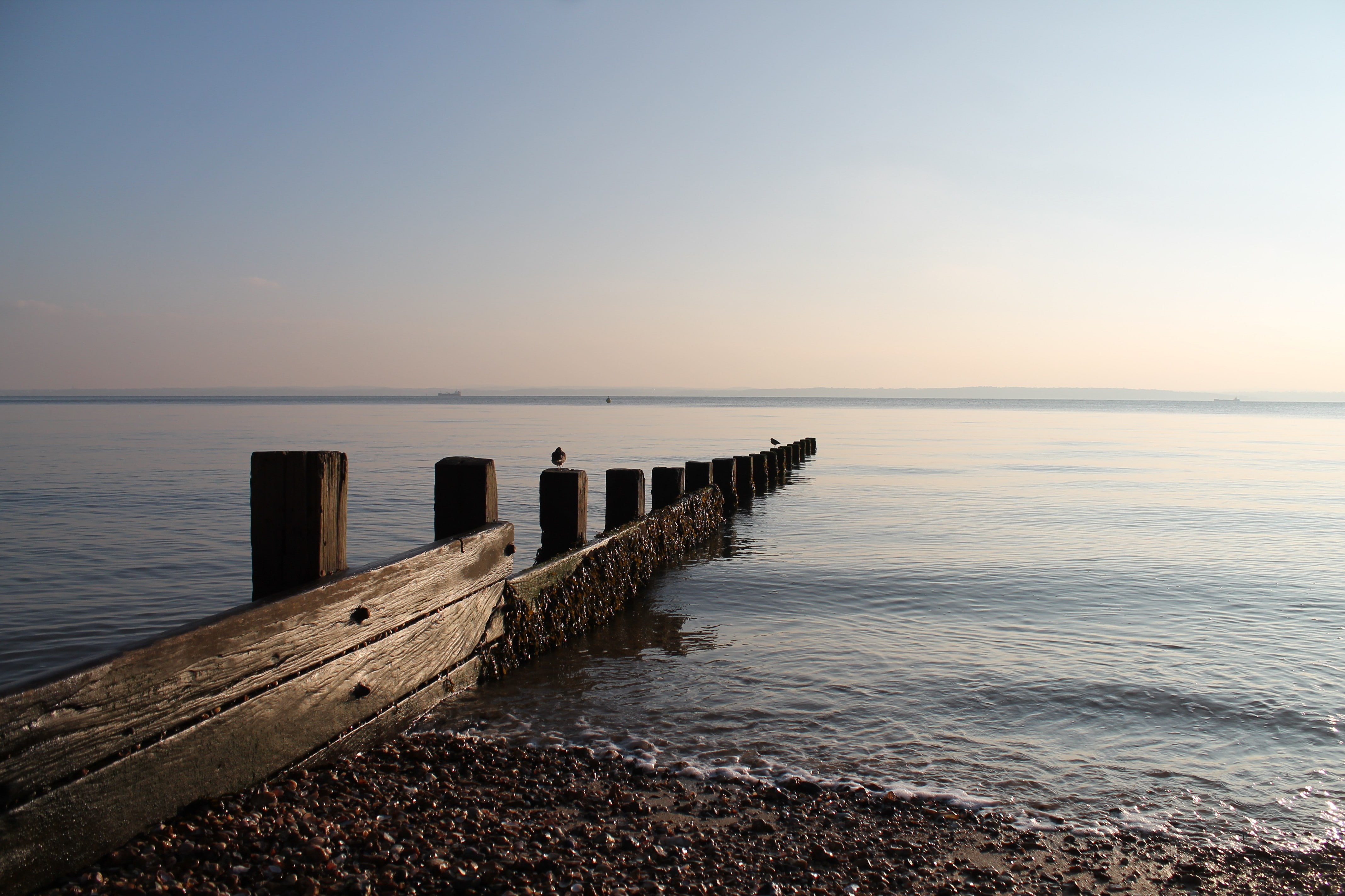 no people, sunlight, evening, horizon, coast, idyllic, nature, horizon over water, sea, pier, groyne, 4K, sunset, beach, wooden post, sky, clear sky, wood - material, HD Wallpaper