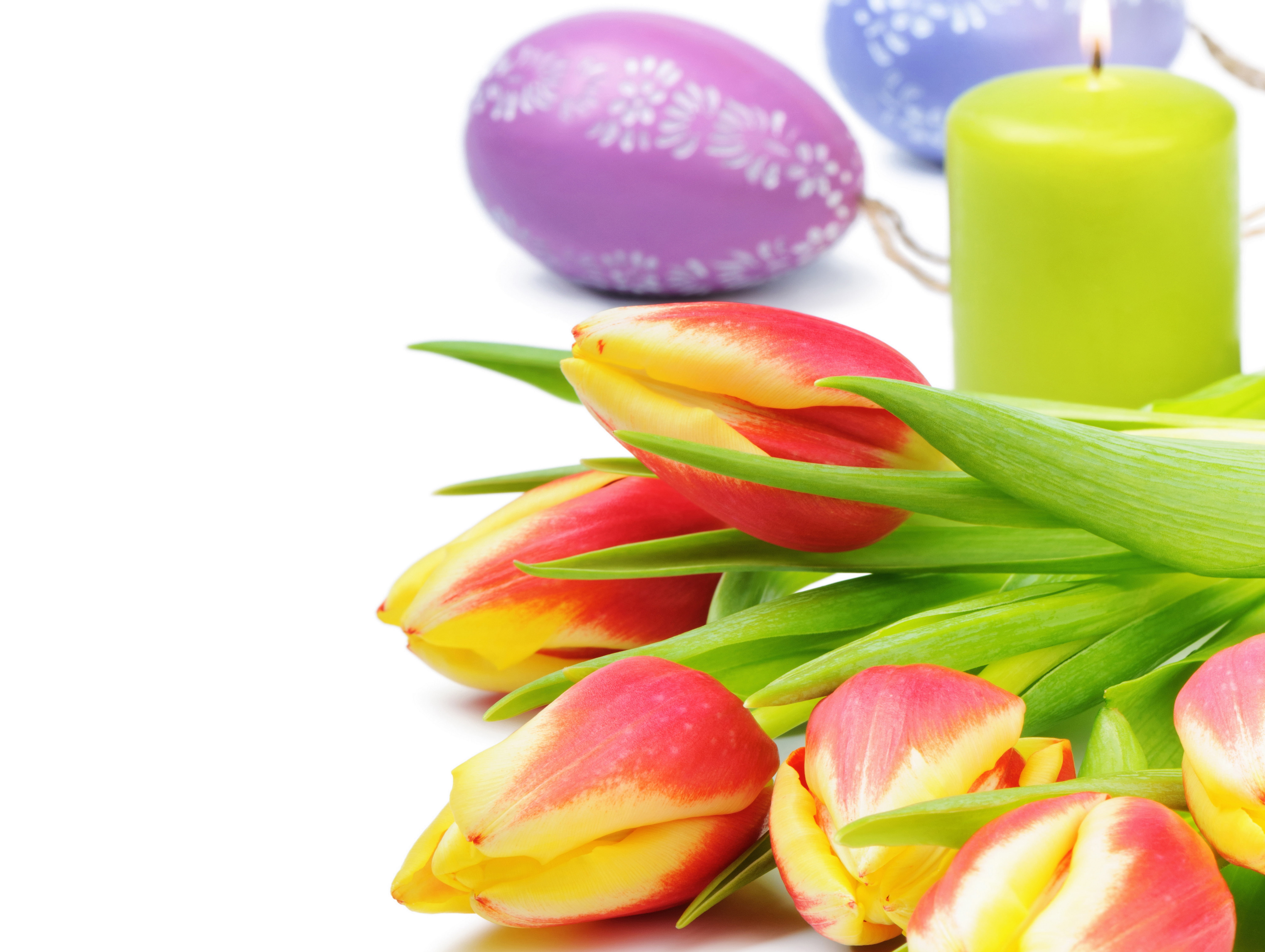 Tulips, Candles, spring, 5K, candle, flowers, Easter, HD Wallpaper