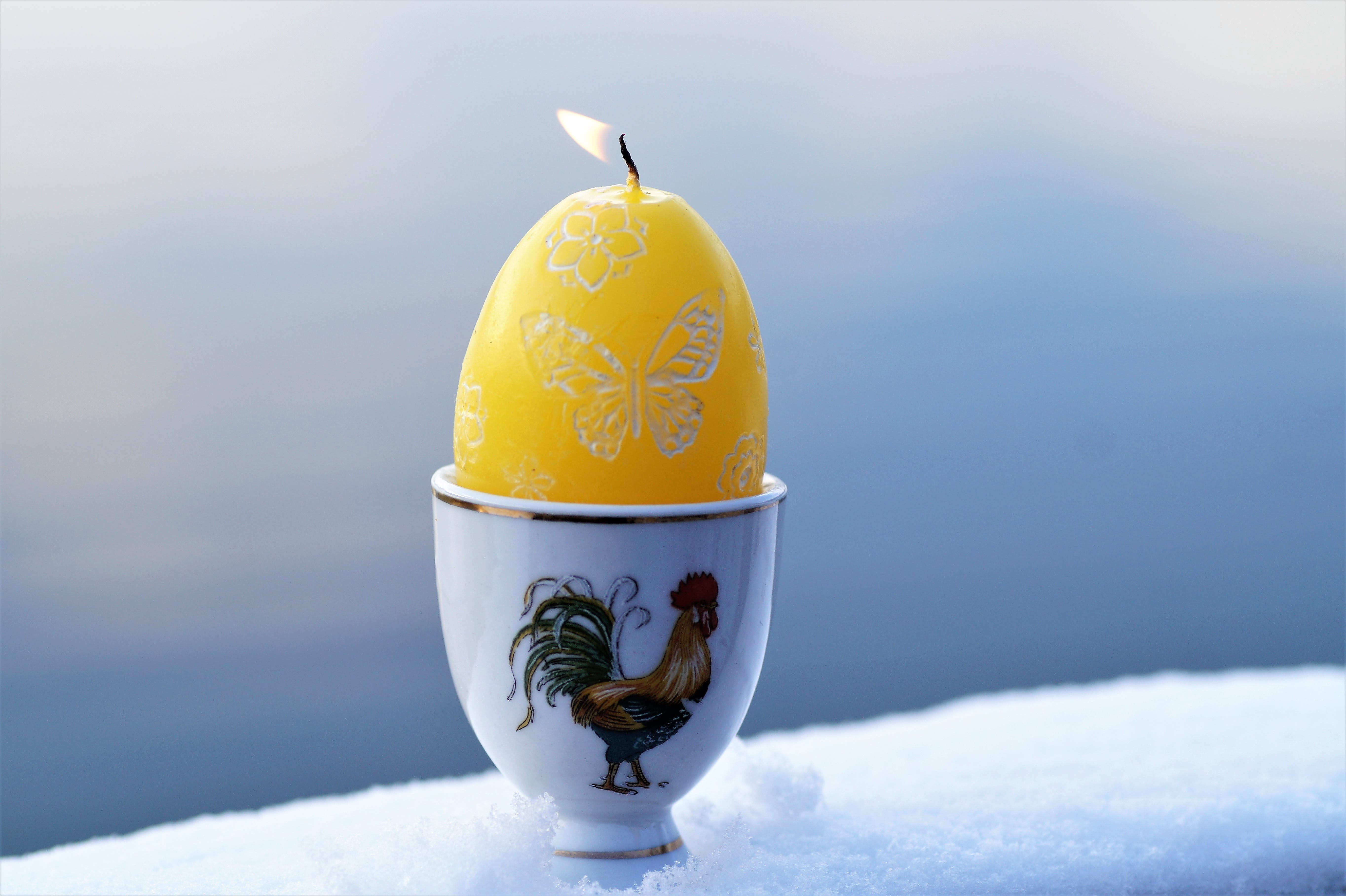 studio shot, snow, 5K, focus on foreground, yellow, indoors, easter, eggcup, close-up, the tradition of, burning, easter eggs, holiday, white color, winter, HD Wallpaper