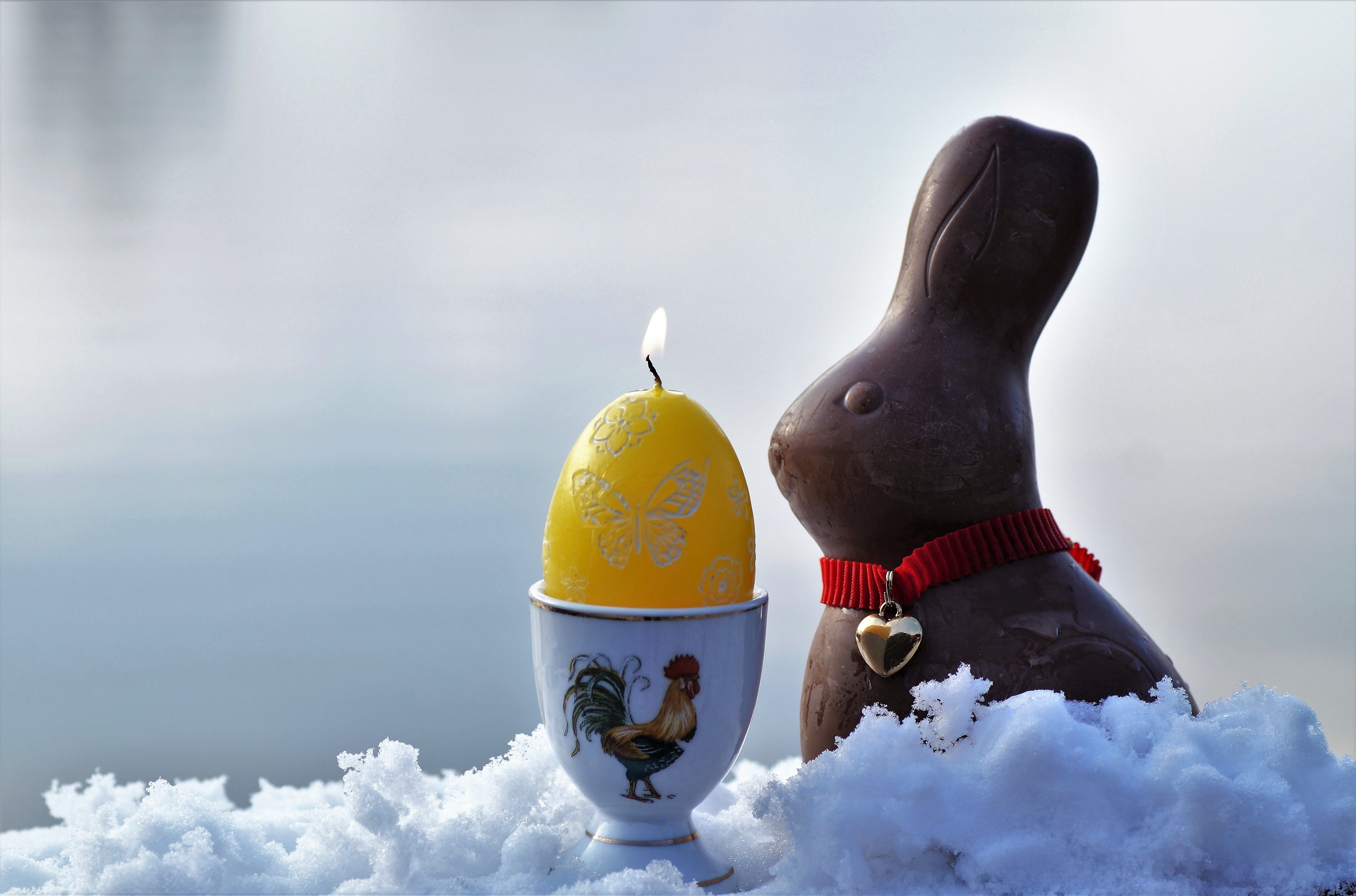 burning, 5K, focus on foreground, cold temperature, food, vertebrate, mammal, egg, chocolate, no people, winter, holidays, animal representation, easter, HD Wallpaper