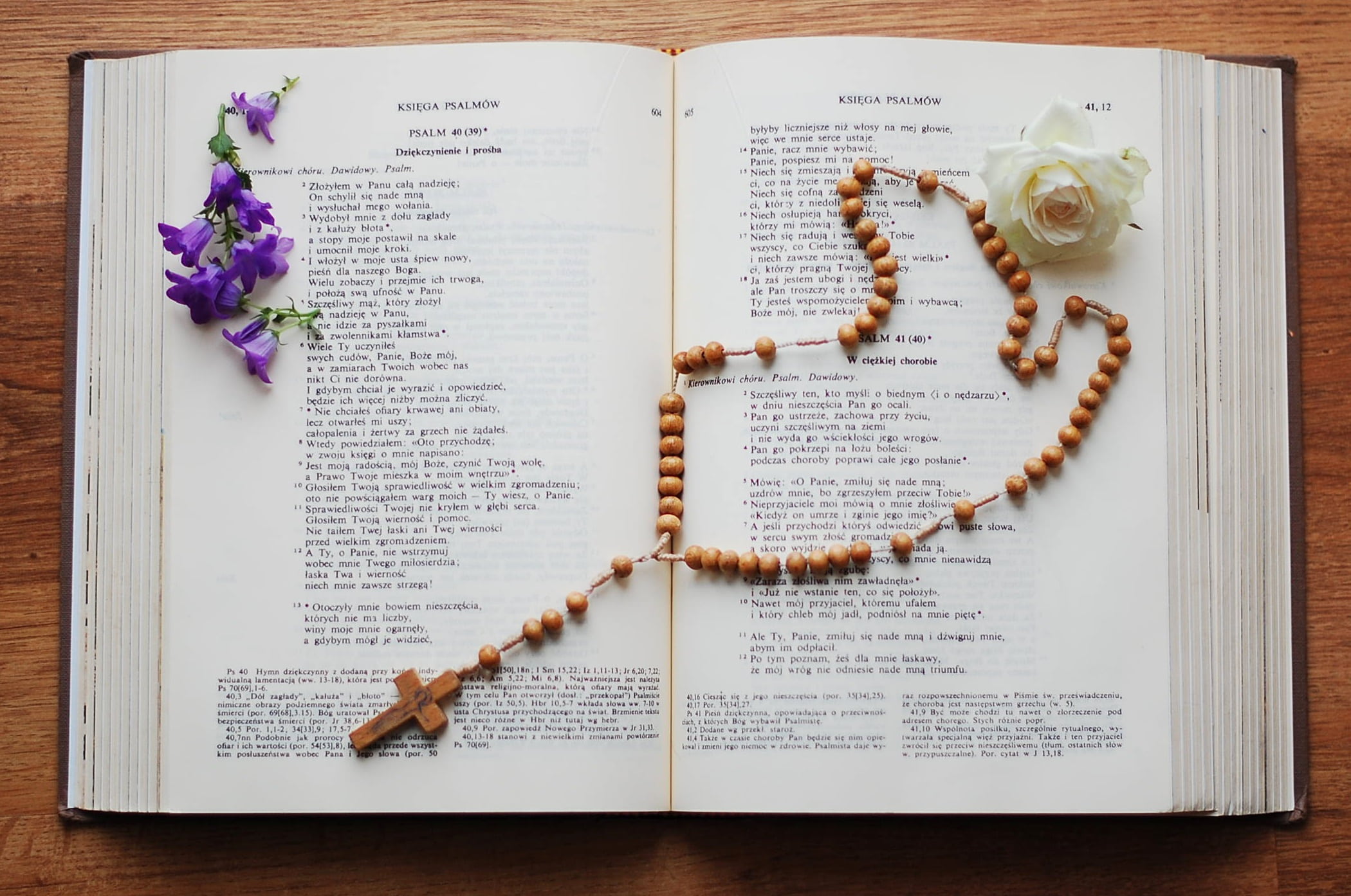 white, 1080P, paper, text, still life, no people, white rose, fragility, directly above, close-up, white flowers, indoors, the scriptures, bible, high angle view, HD Wallpaper