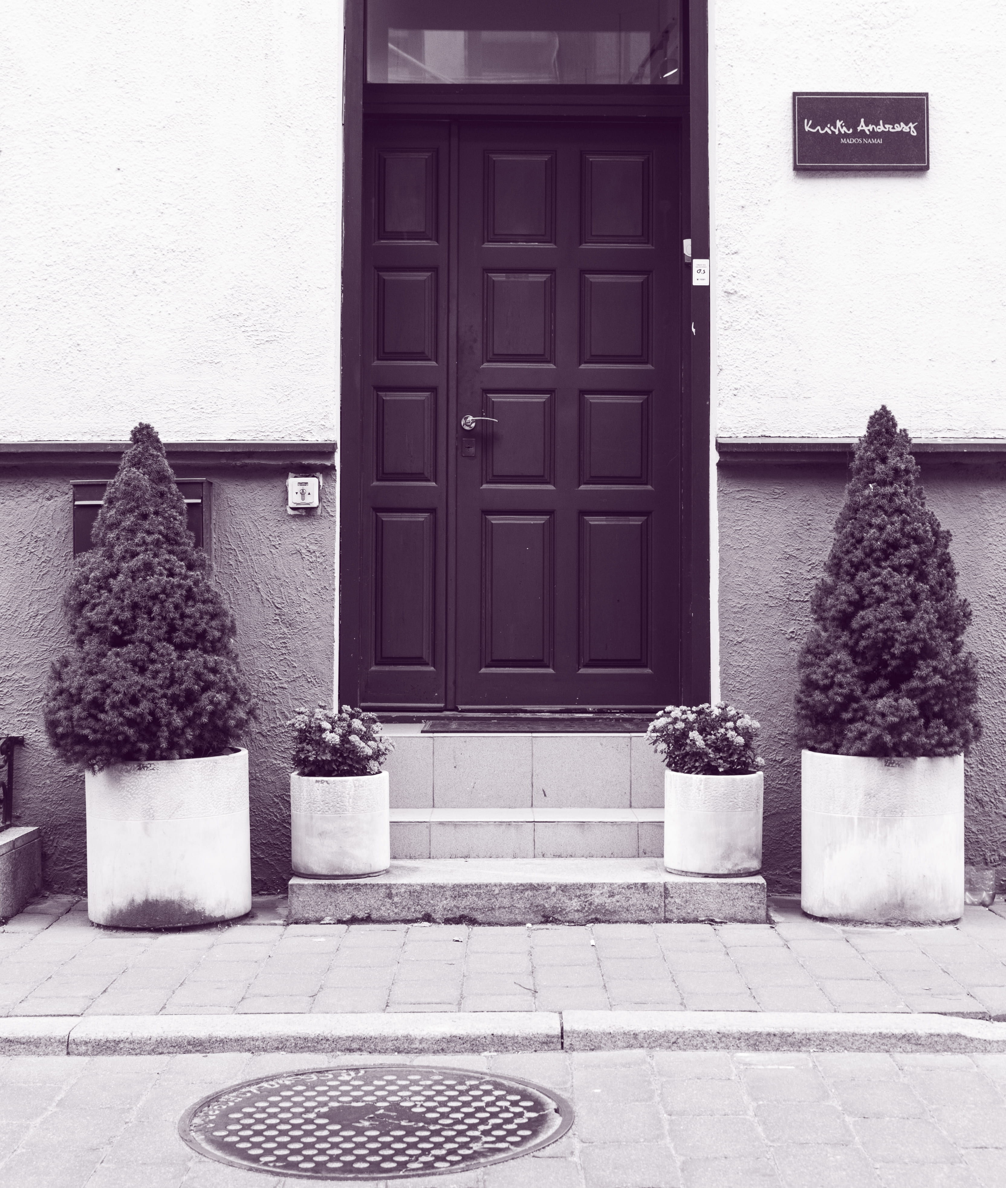 wall - building feature, window, decoration, built structure, nature, potted plant, monochrome, doorway, outdoors, door, black-and-white, white, entrance, Phone HD Wallpaper