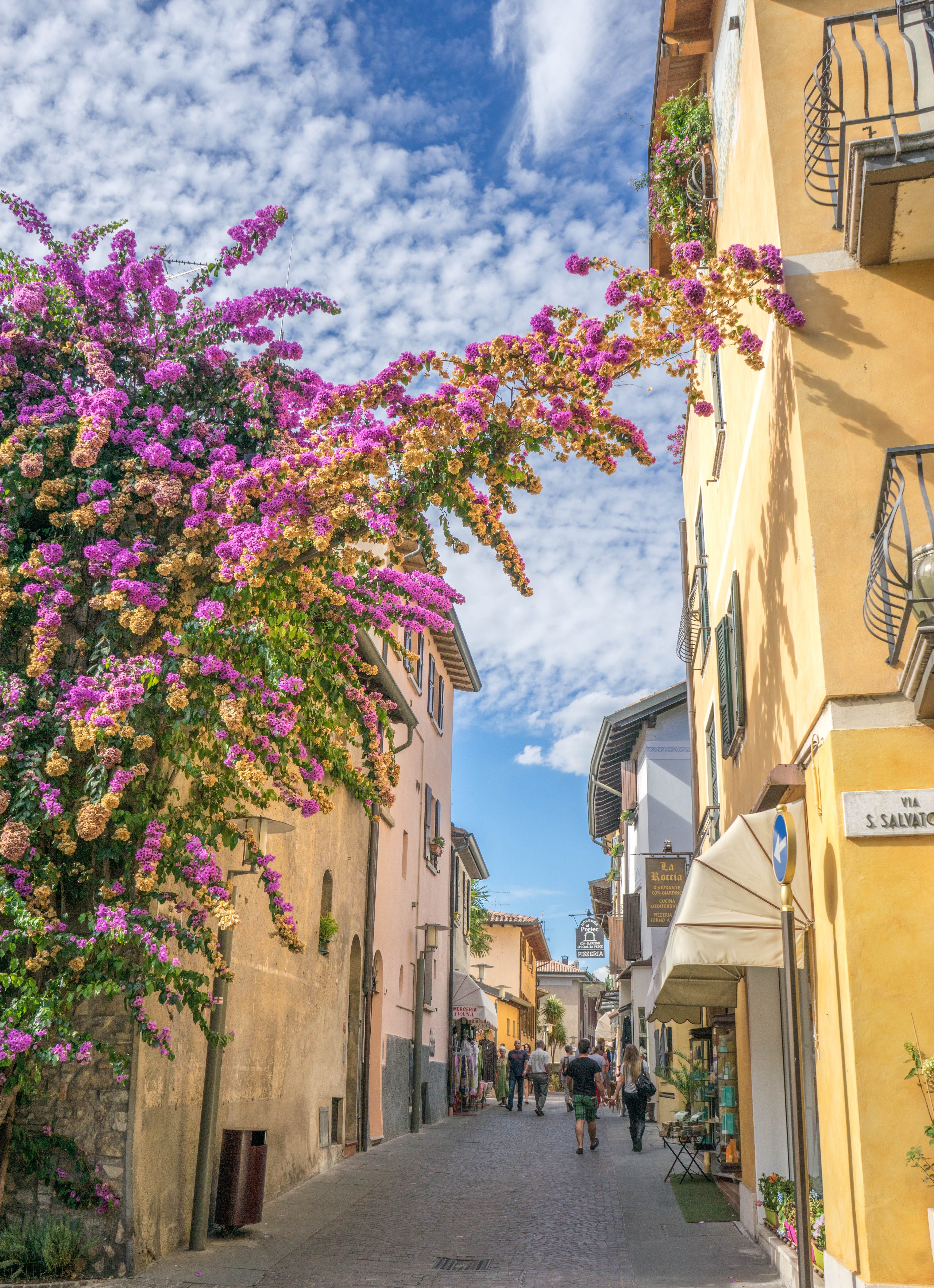 cloud - sky, tourism, tree, street, flowers, italy, sunlight, view, flower, built structure, exterior, nature, walking, sirmione, old, city, 5K, building exterior, Phone HD Wallpaper