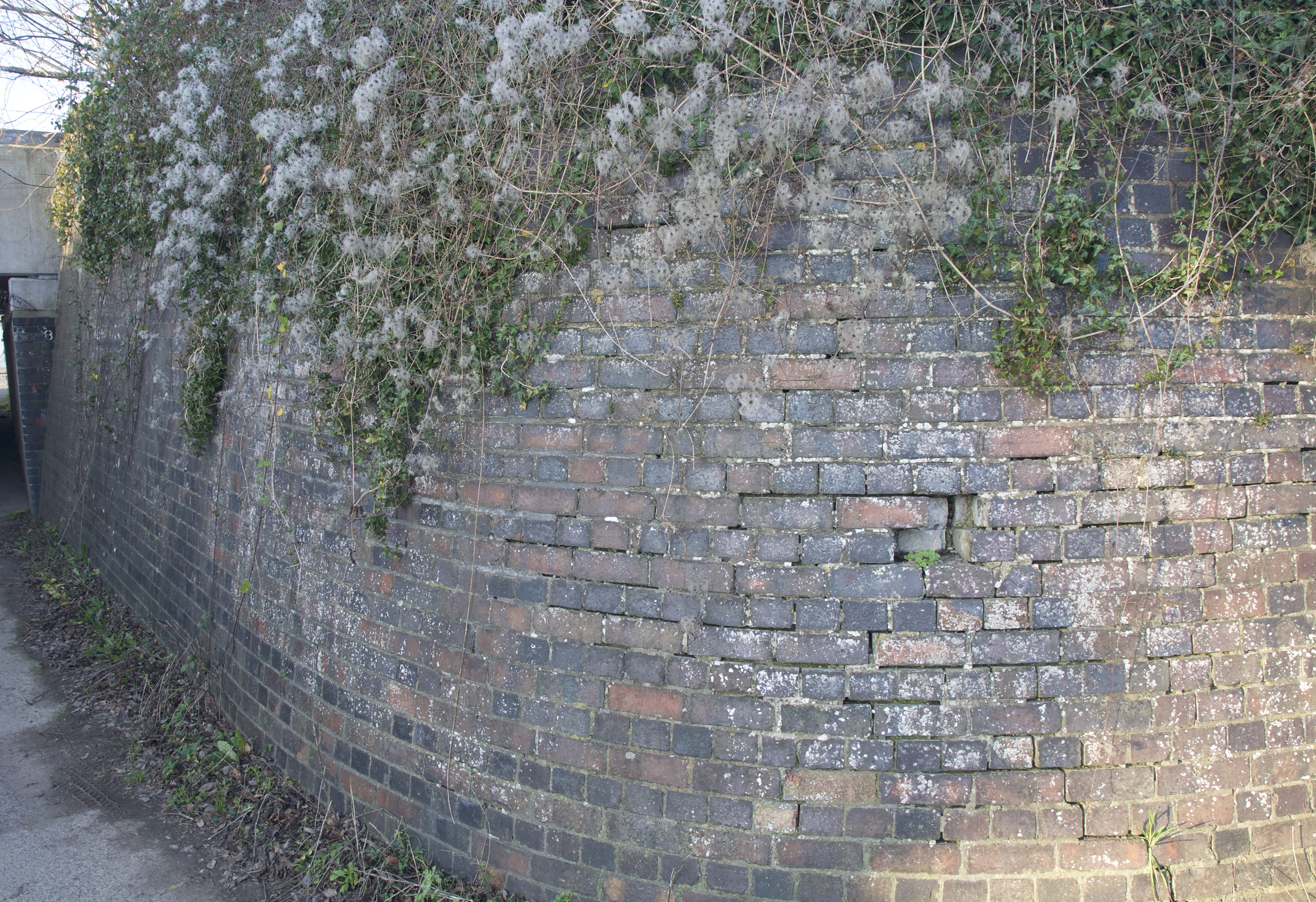 wall - building feature, architecture, high angle view, tree, plant, the wall, no people, outdoors, uk, growth, day, built structure, brick, staircase, HD Wallpaper