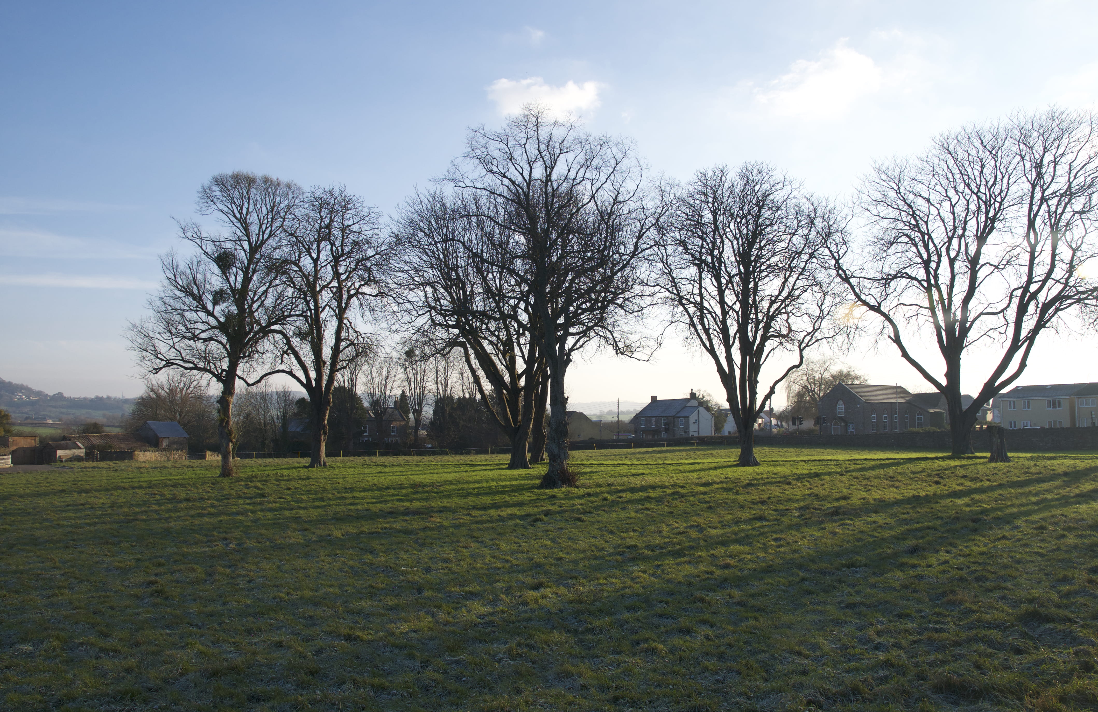 4K, day, uk, field, tree, cloud - sky, bare tree, beauty in nature, gloucester, park, nature, land, no people, grass, trees, plant, environment, tranquility, HD Wallpaper