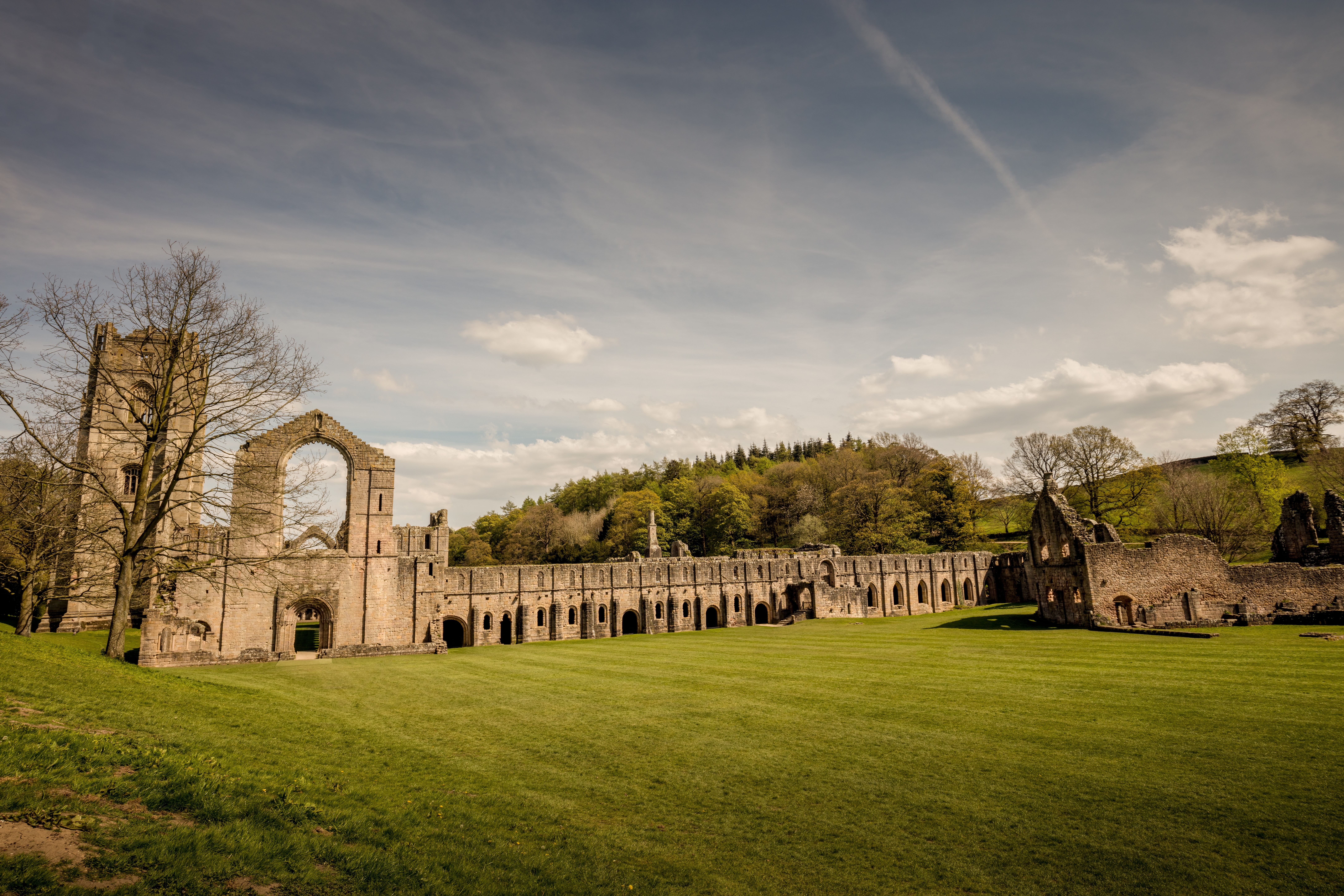 abbey, building exterior, old, cathedral, old ruin, yorkshire, ruined, archaeology, built structure, tree, historic, outside, ancient, day, green color, HD Wallpaper