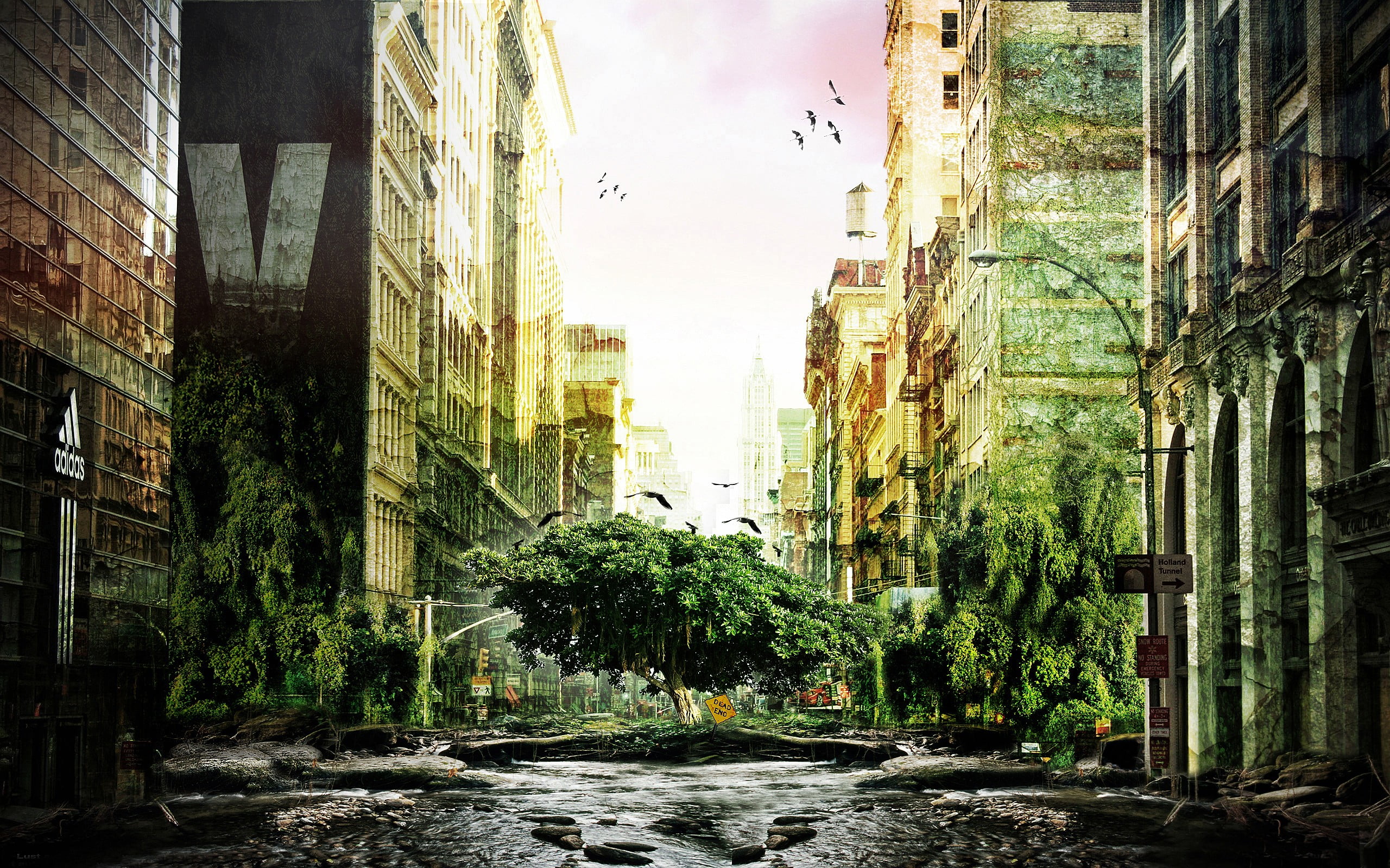 tree, old, built structure, 2K, waterfront, jungle, green, artwork, growth, water, outdoors, building, residential district, photo manipulation, tall - high, HD Wallpaper