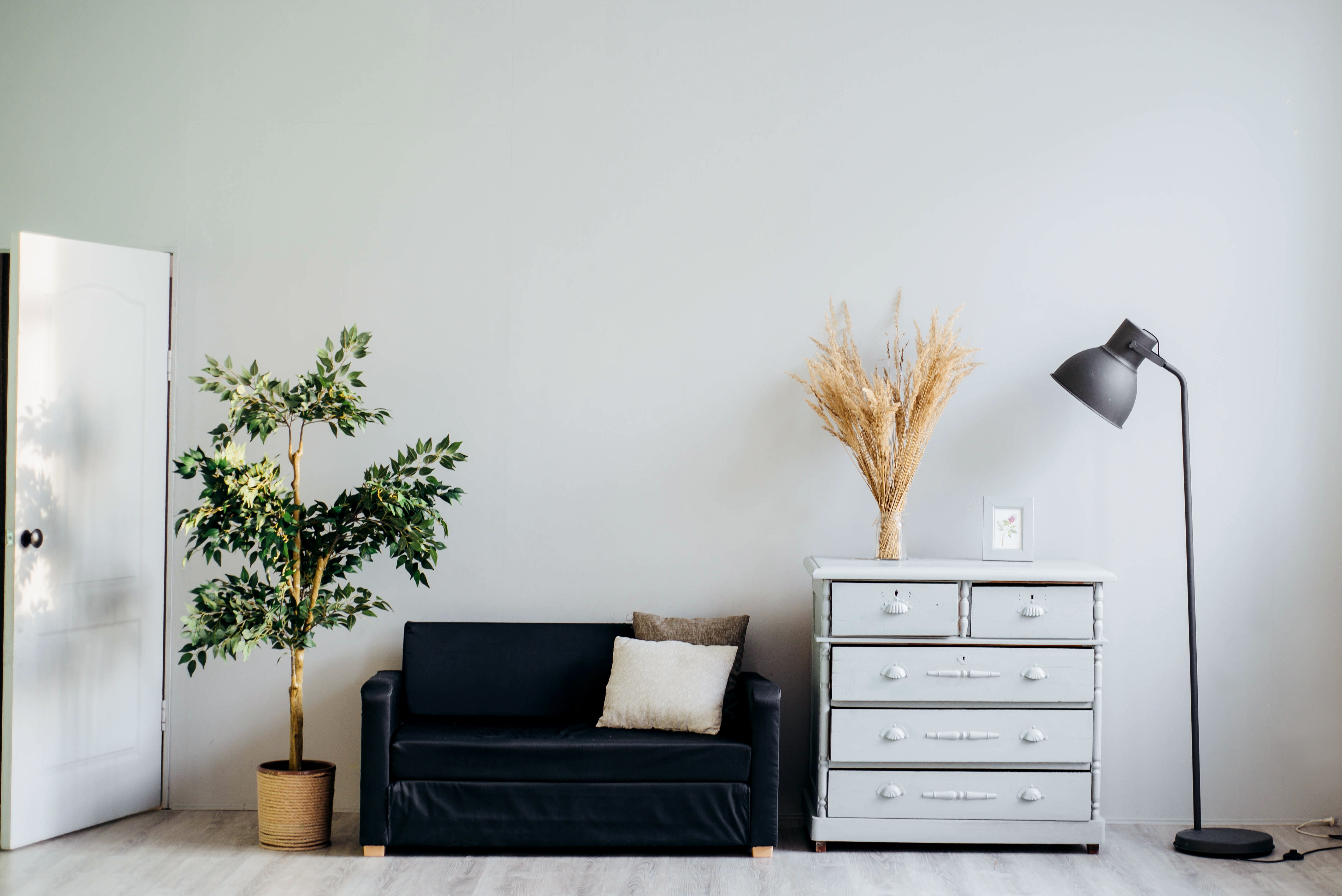 houseplant, cabinet, lifestyles, tree, indoors, nature, white, table, living room, drawer, near, flooring, house, lighting equipment, home showcase interior, HD Wallpaper