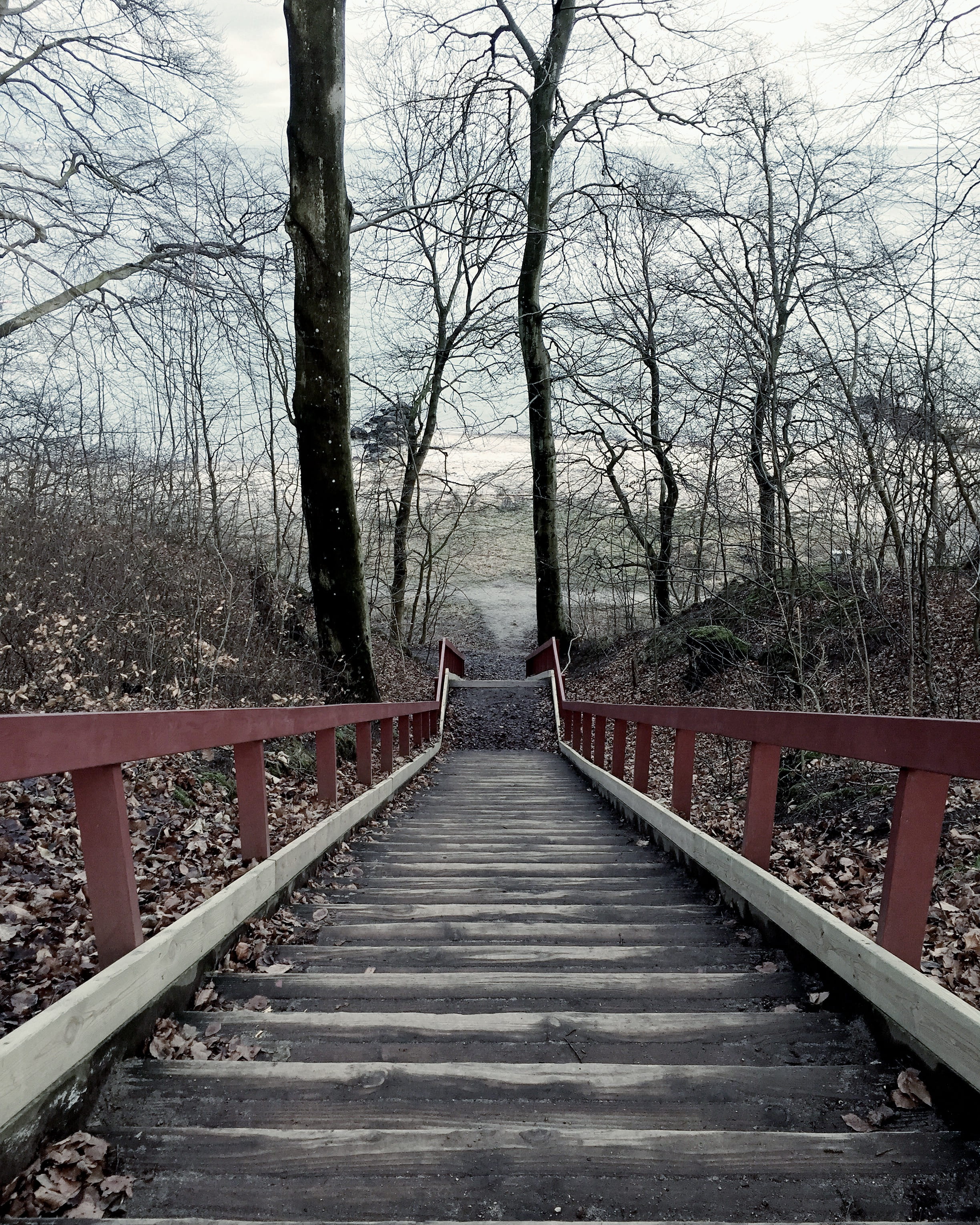 footbridge, danmark, day, connection, land, diminishing perspective, ocean, architecture, nature, direction, no people, tranquility, outdoors, forest, tranquil scene, Phone HD Wallpaper