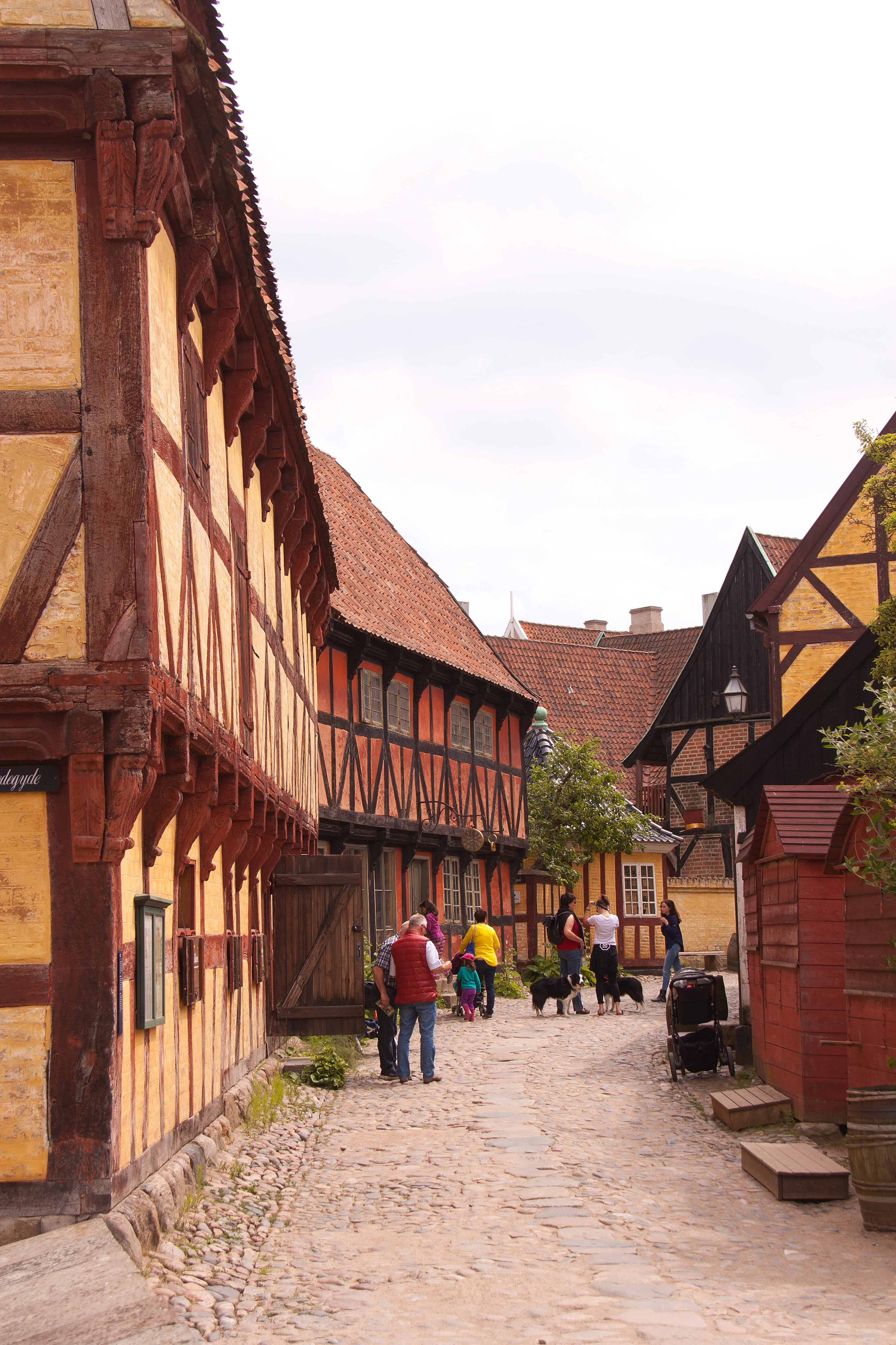 rear view, men, house, open-air, nature, walking, famous Place, building Exterior, built structure, history, residential district, half-timbered, city, Phone HD Wallpaper