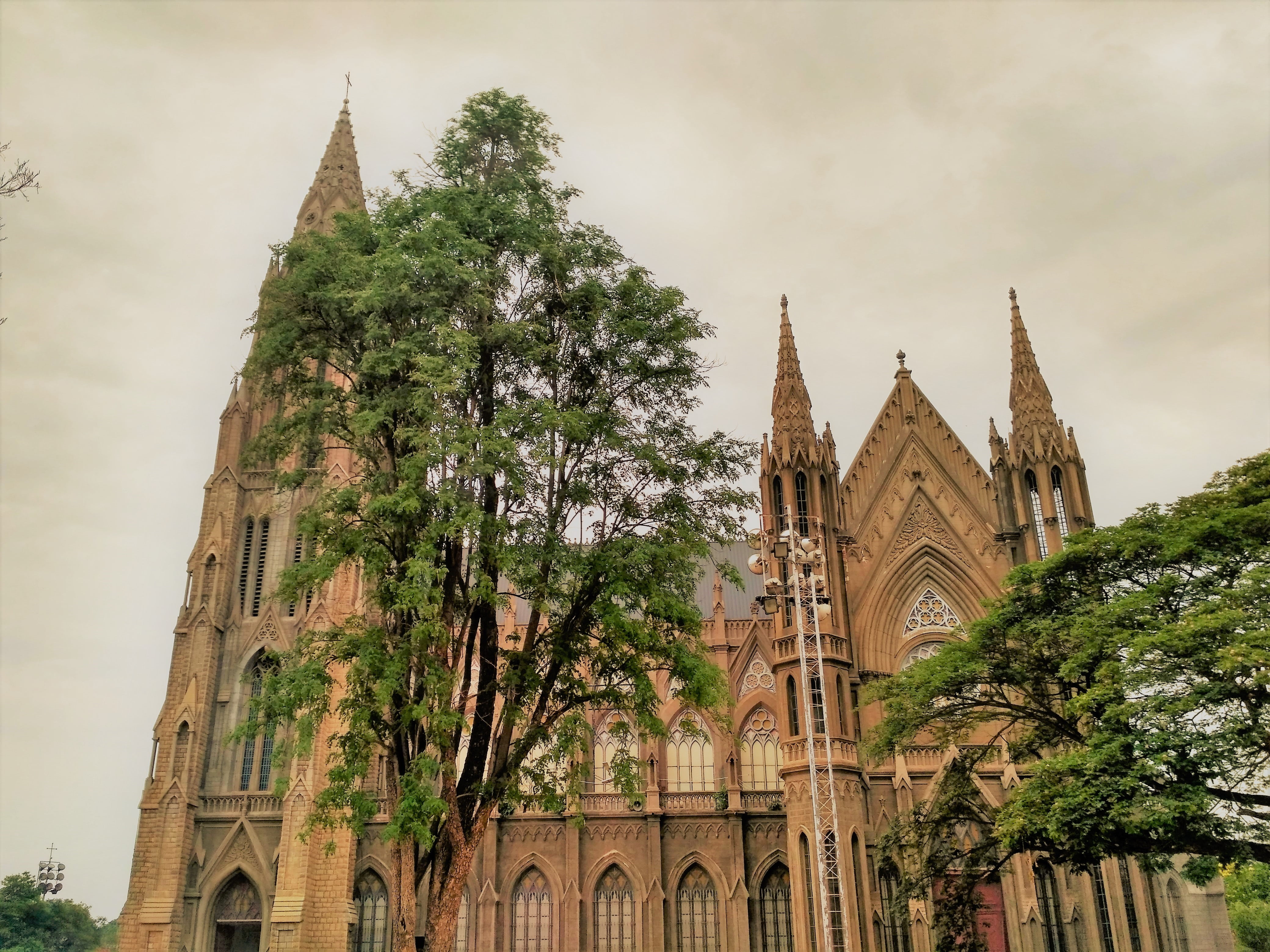 outdoors, religion, architecture, plant, low angle view, building, church, st philomenas cathedral, abbey, no people, spirituality, tree, belief, built structure, HD Wallpaper