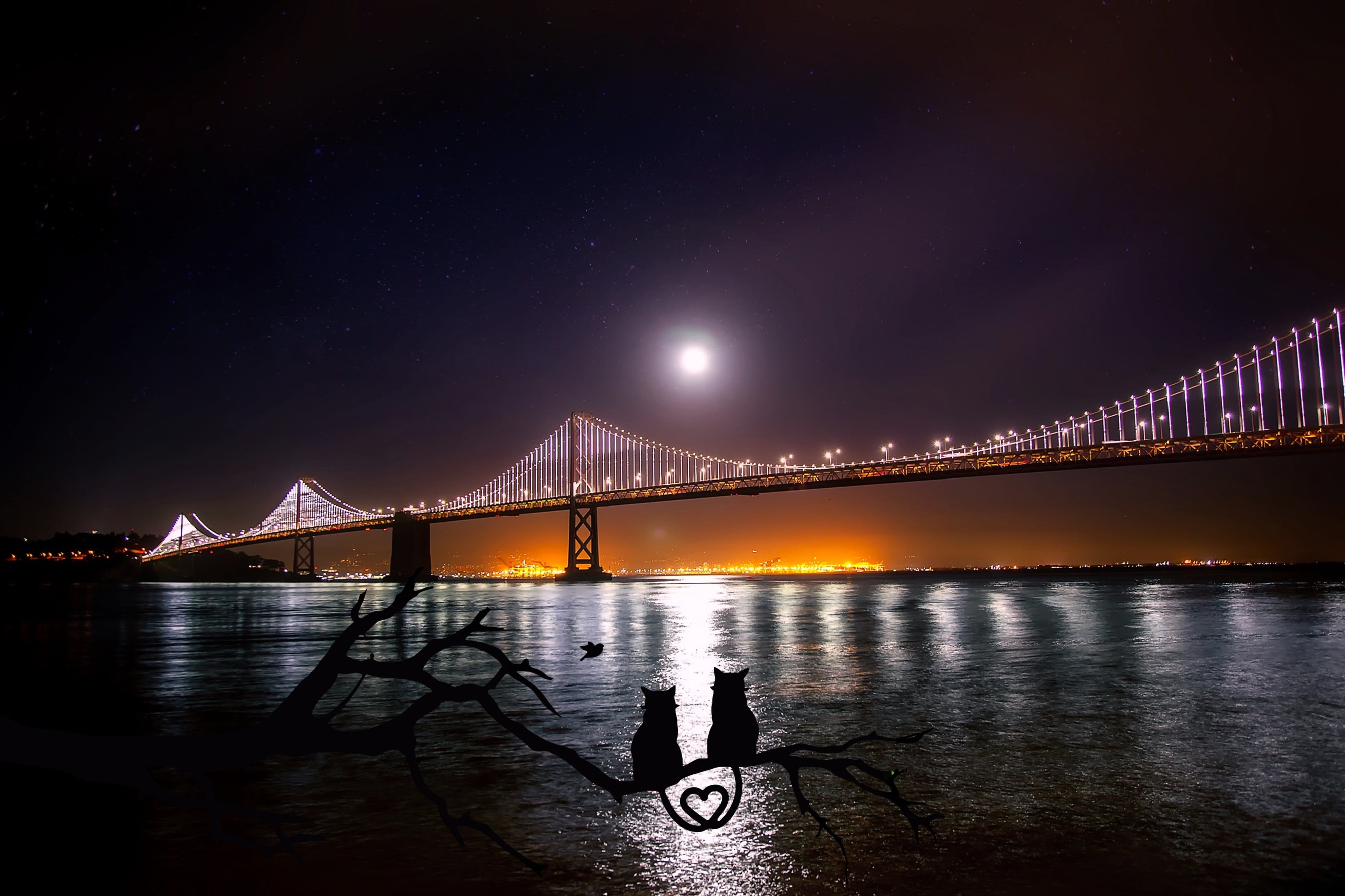 nature, suspension bridge, river, love, sky, moon, bay bridge, dark, architecture, star - space, oakland, branch, romantic, mood, reflection, heart, bridge, HD Wallpaper